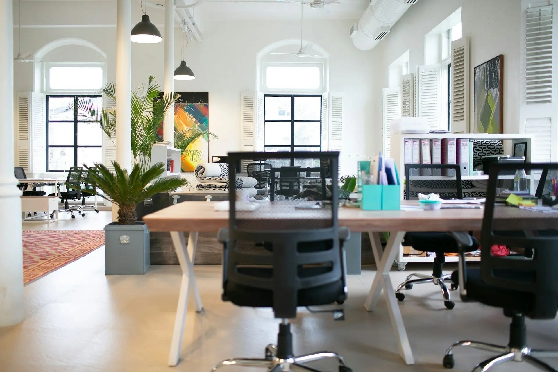 A bright office space with multiple desks, black chairs, and a large palm plant showcasing bulk office supplies