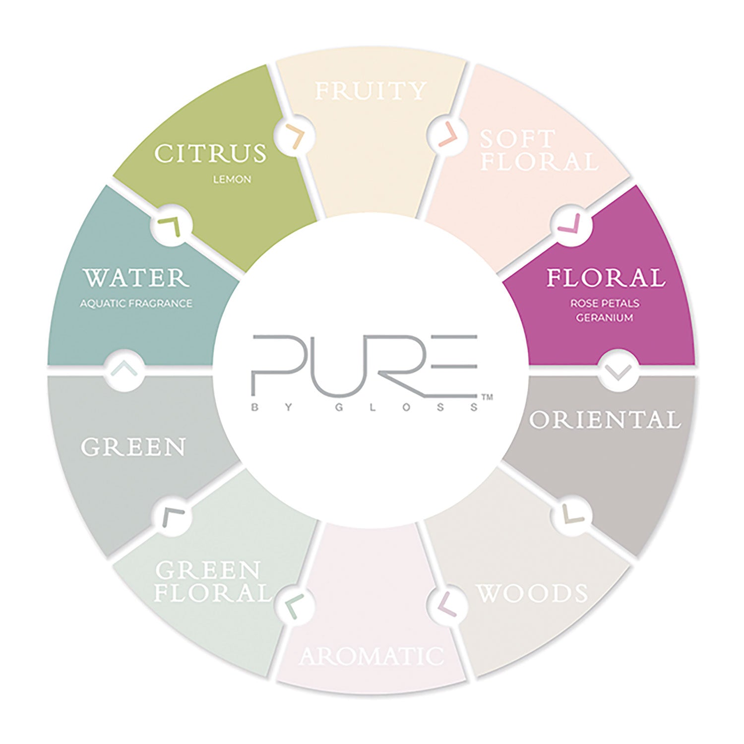 Pure by Gloss™ Hand Wash, Vibrant Lemon Scent, 12.2 oz, 12/Carton