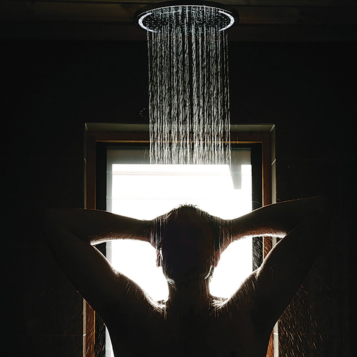 Guild+Pepper® Shampoo, Warm Oak Scent, 12.2 oz, 12/Carton