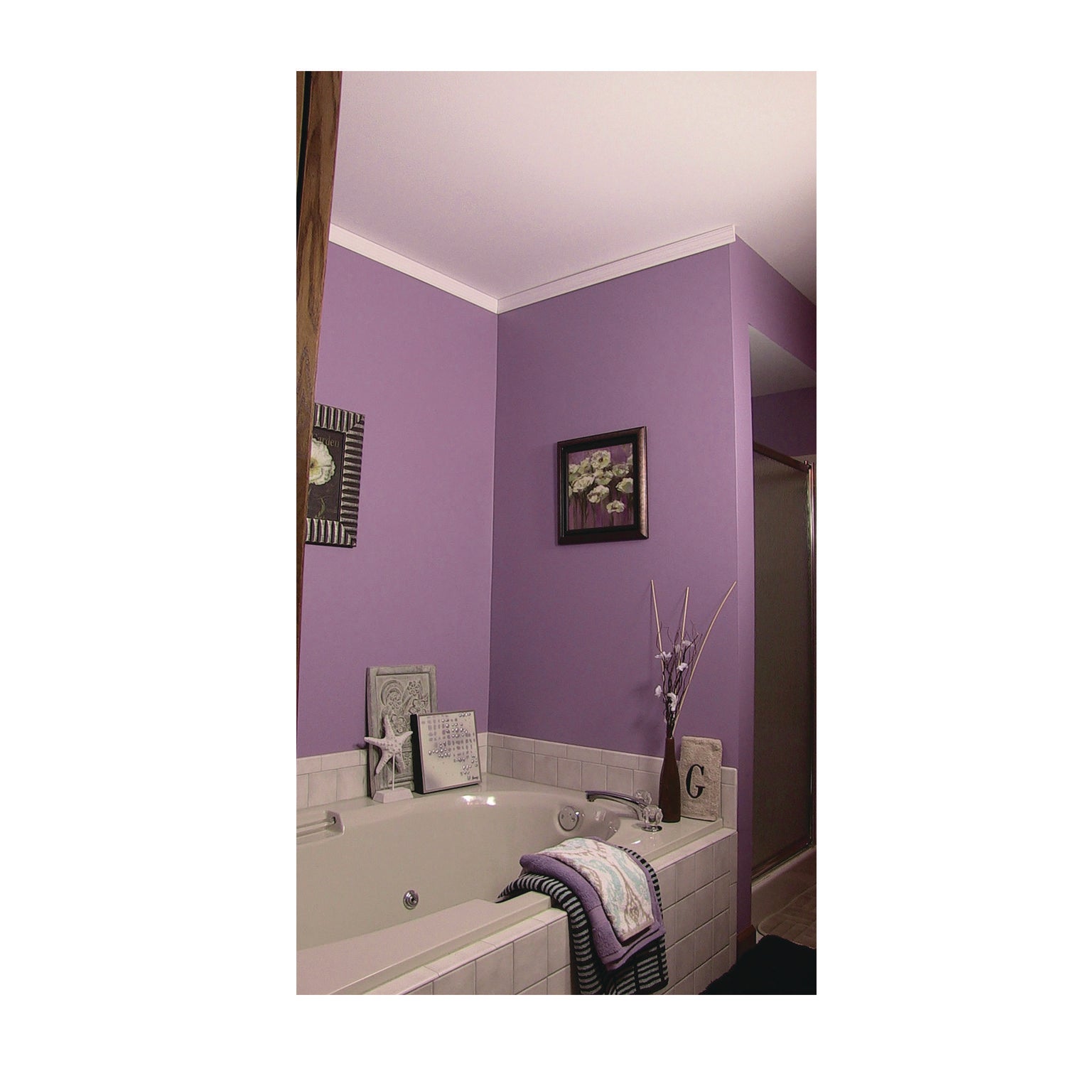 Zinsser® Mold Killing Primer, Interior/Exterior, Flat White, 1 gal Bucket/Pail, 2/Carton