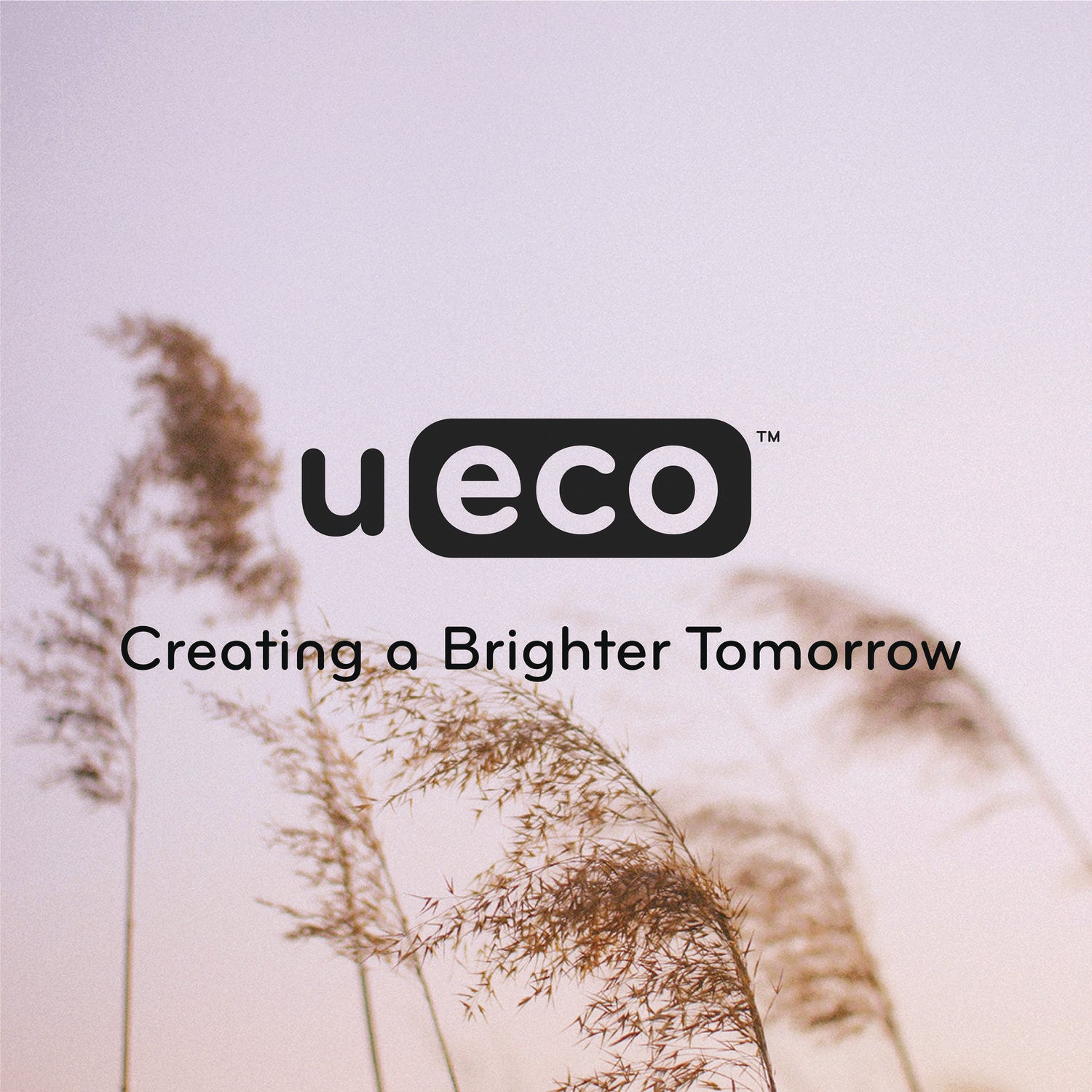 U Brands U-Eco Poly Two-Pocket Folders, Three-Hole Punched, Poly/Wheat Straw, 11 x 8.5, Assorted,12/Pack