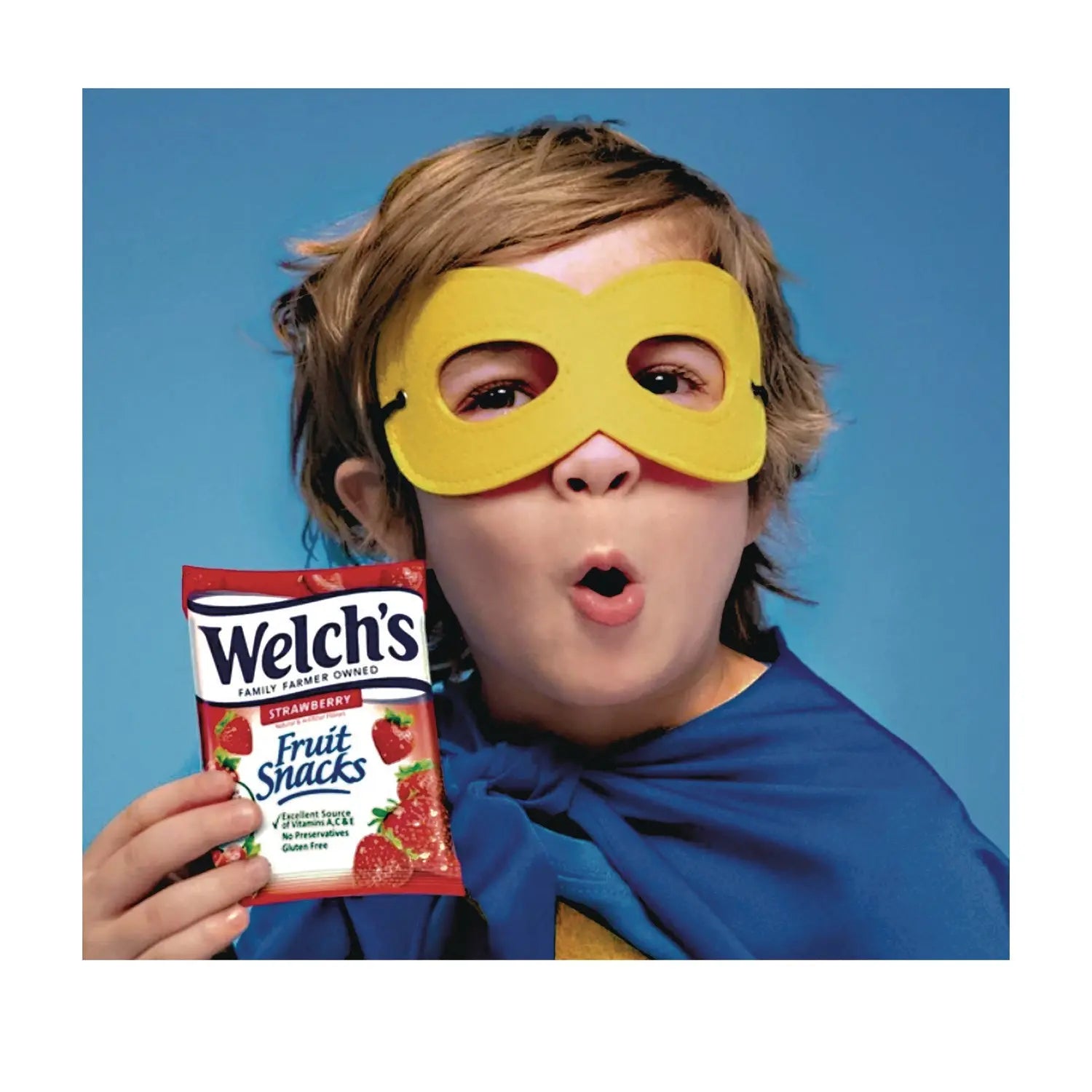 Fruit Snacks, Strawberry, 5 oz Pouch, 12/Box Welch's® Flipcost