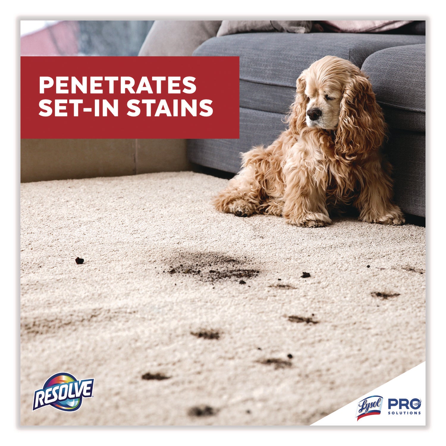 Professional RESOLVE® Spot And Stain Carpet Cleaner, 32 Oz Spray Bottle