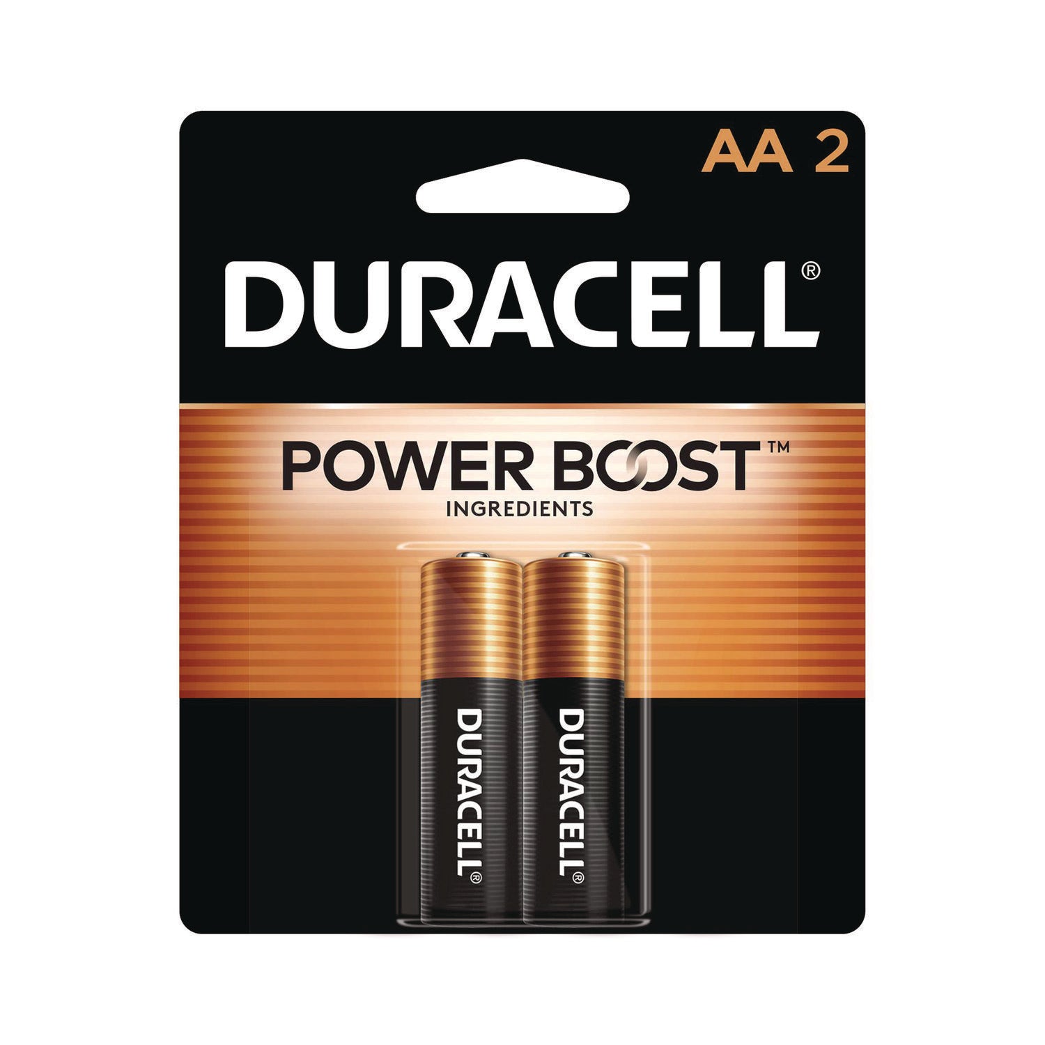 Power Boost CopperTop Alkaline AA Batteries, 2/Pack