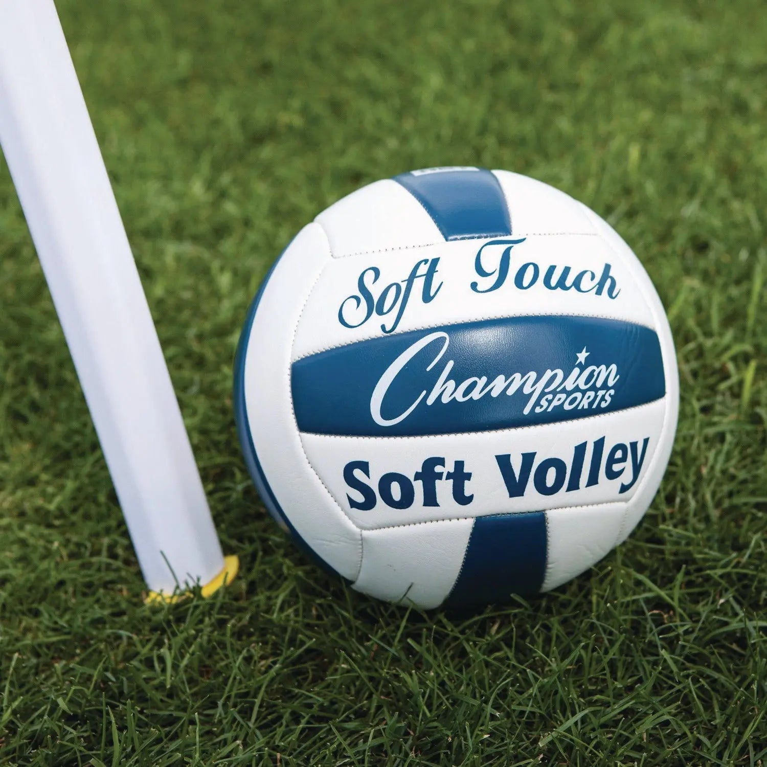 Deluxe Volleyball Set, Official-Size Volleyball, Volleyball Net Champion Sports Flipcost