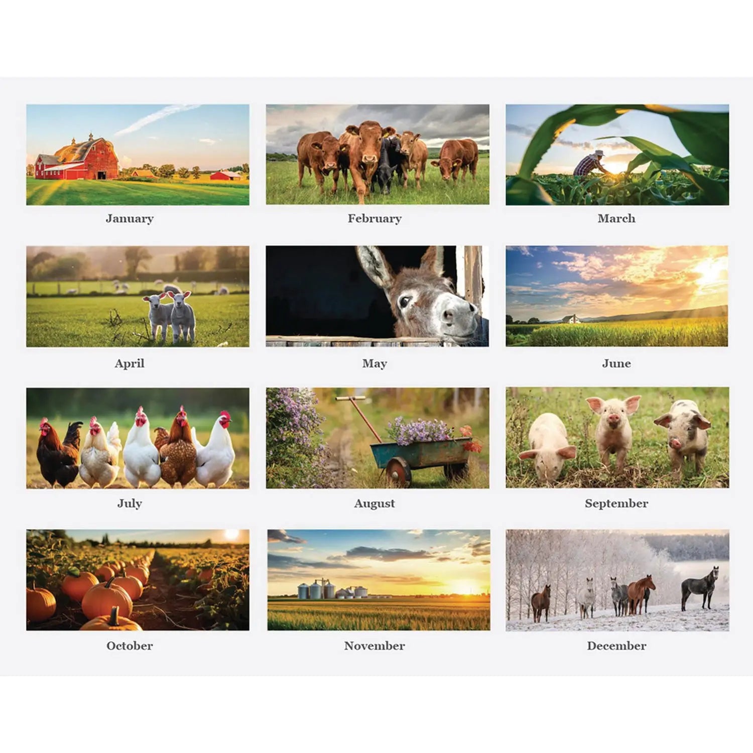 100% Recycled Farm Life Wall Calendar, 11 x 14, White/Multicolor Sheets, 12-Month (Jan-Dec): 2025 House of Doolittle™ Flipcost