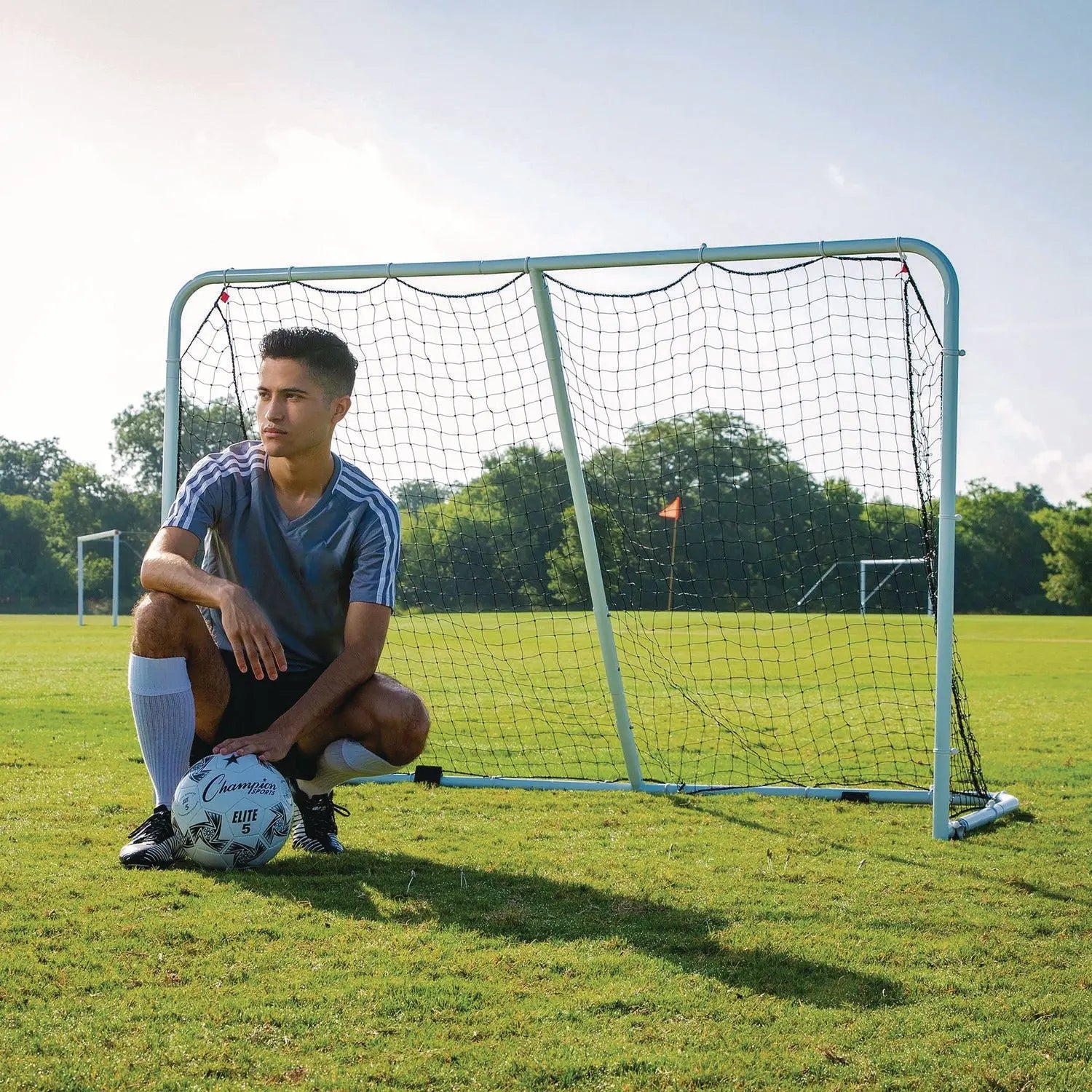 Fold Up Goal, 72" x 48" Champion Sports Flipcost