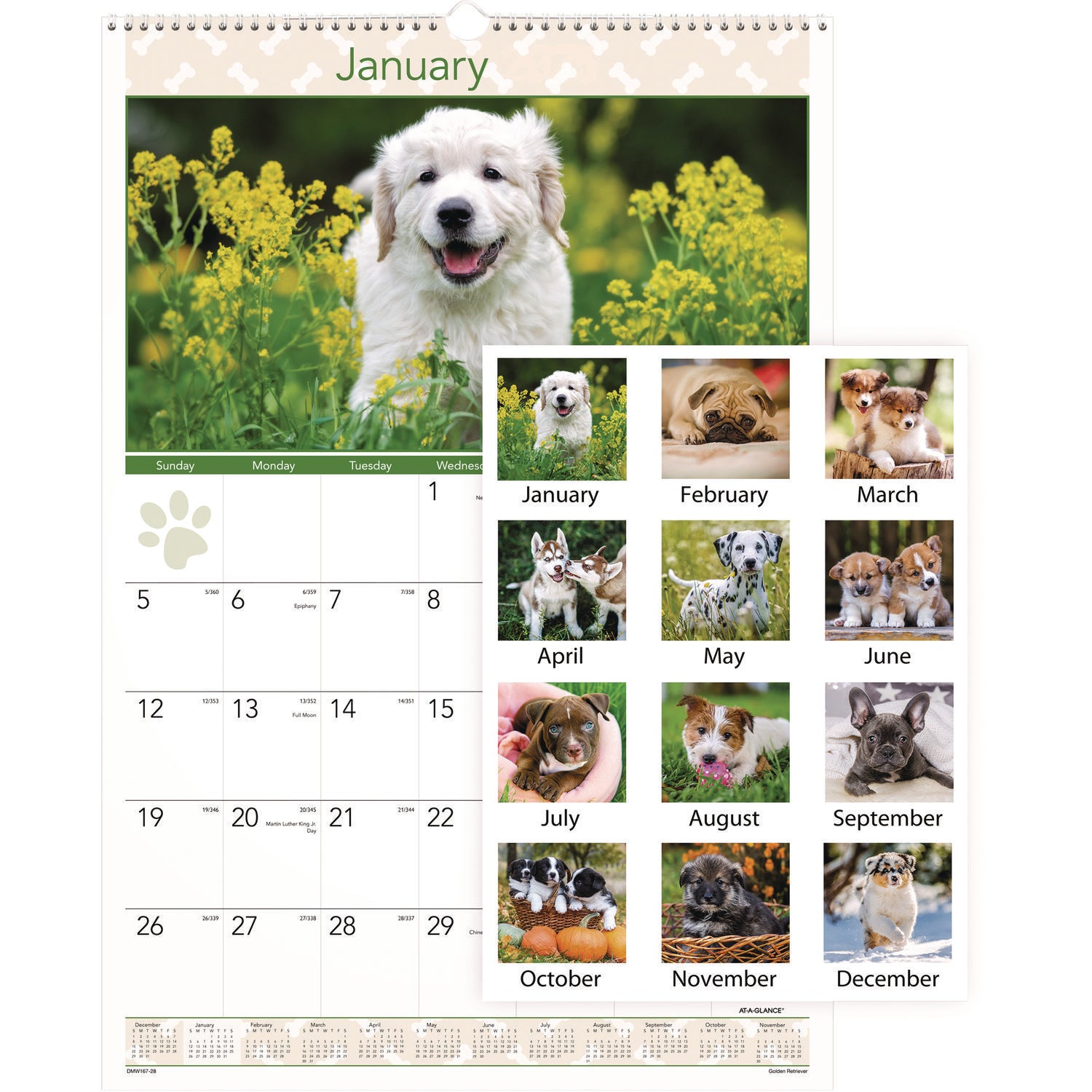 AT-A-GLANCE® Puppies Monthly Wall Calendar, Puppies Photography, 15.5 x 22.75, White/Multicolor Sheets, 12-Month (Jan to Dec): 2025