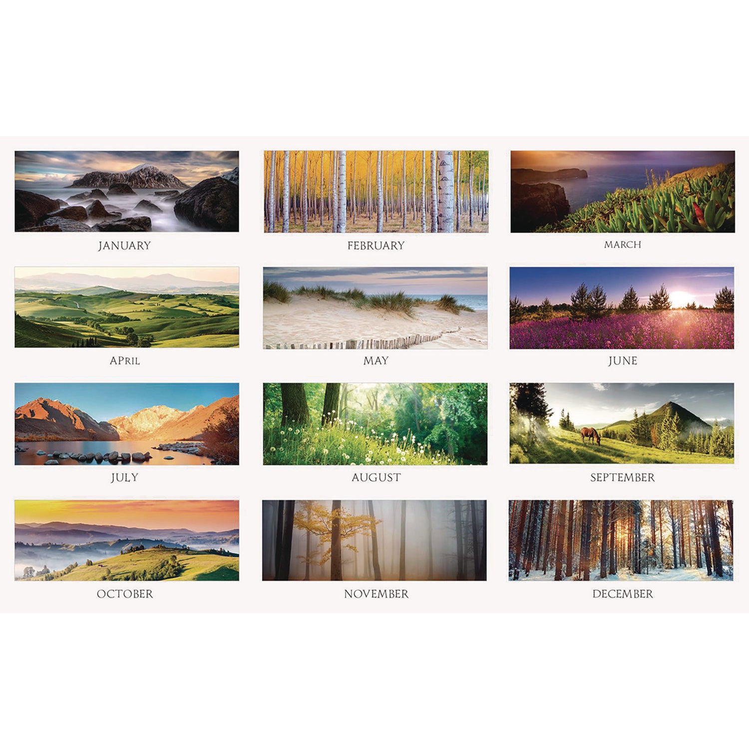 House of Doolittle™ Earthscapes Recycled Monthly Wall Calendar, Color Landscape Photography, 12 x 16.5, White Sheets, 12-Month (Jan-Dec): 2025