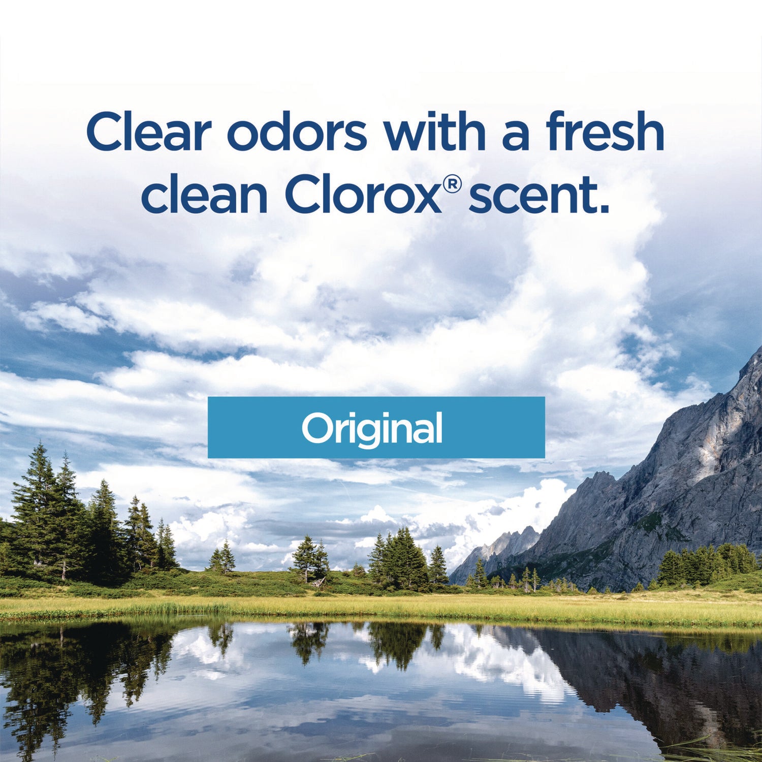 Clorox® Disinfecting Toiletwand Refill Heads, Blue/White, 10/Pack, 6 Packs/Carton