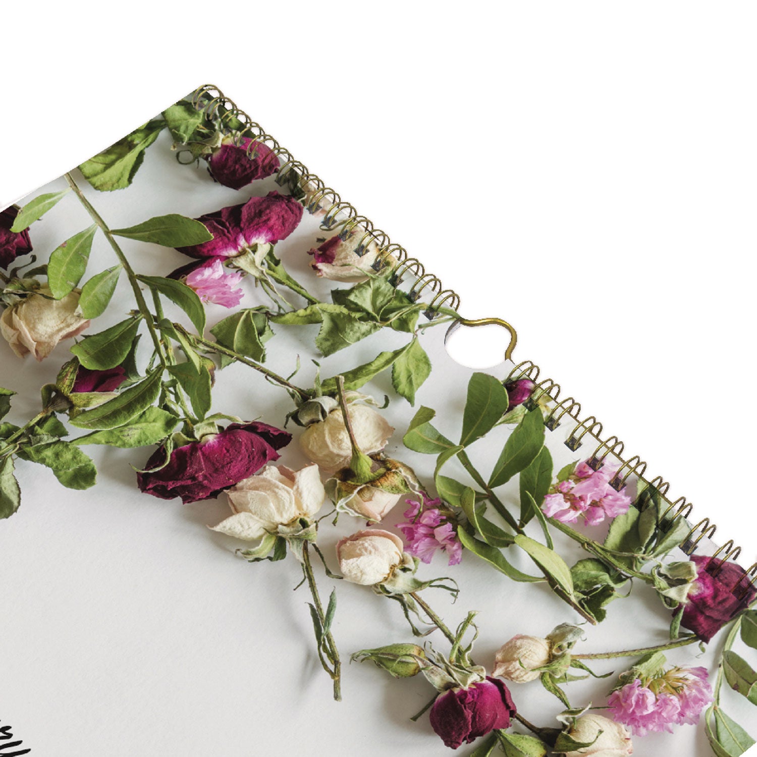 Blueline® Romantic Wall Calendar, Floral Photography, 12 x 17, White/Multicolor Sheets, 12-Month (Jan to Dec): 2025