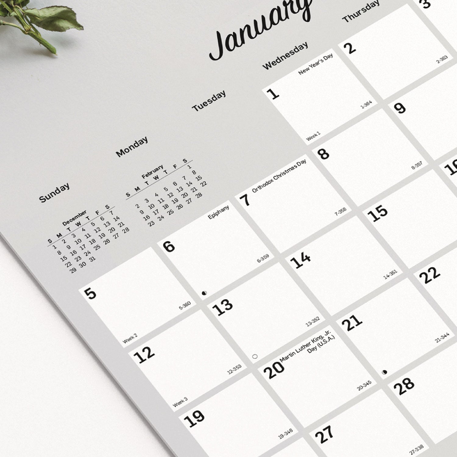 Blueline® Romantic Wall Calendar, Floral Photography, 12 x 17, White/Multicolor Sheets, 12-Month (Jan to Dec): 2025