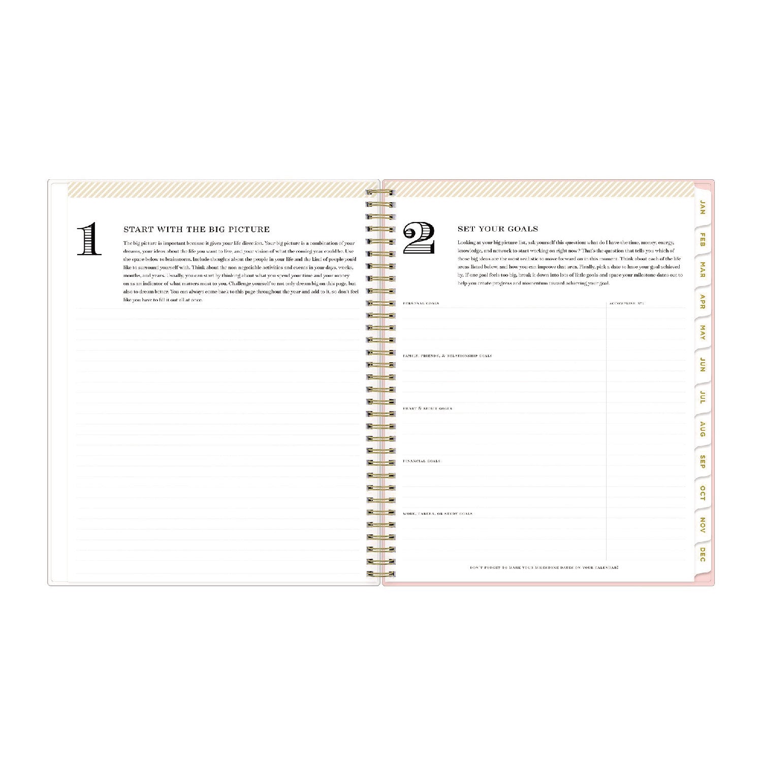 Blue Sky® Day Designer Coming Up Roses Create-Your-Own Cover Weekly/Monthly Planner, Roses Artwork, 11 x 8.5, 12-Month (Jan-Dec): 2025