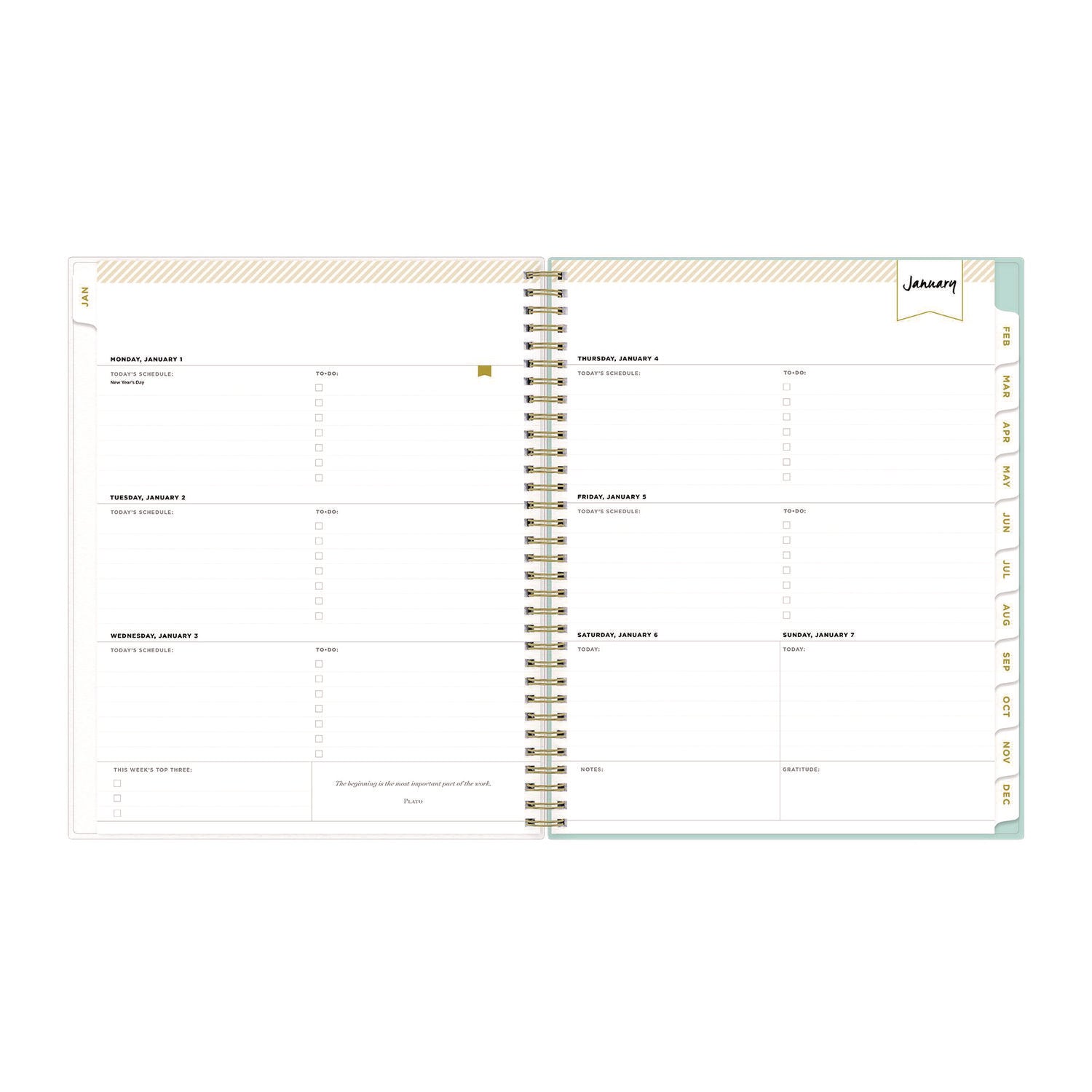 Blue Sky® Day Designer Secret Garden Mint Frosted Weekly/Monthly Planner, Floral Artwork, 11 x 8.5, 12-Month (Jan to Dec): 2025