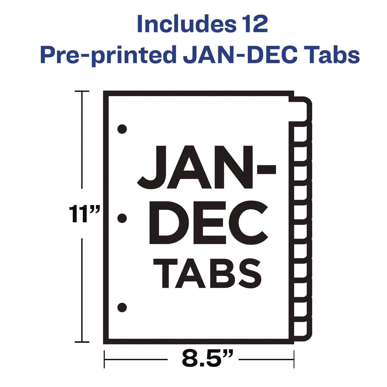 Preprinted Black Leather Tab Dividers, 12-Tab, Jan. to Dec., 11 x 8.5, Buff, 1 Set Office Essentials™ Flipcost