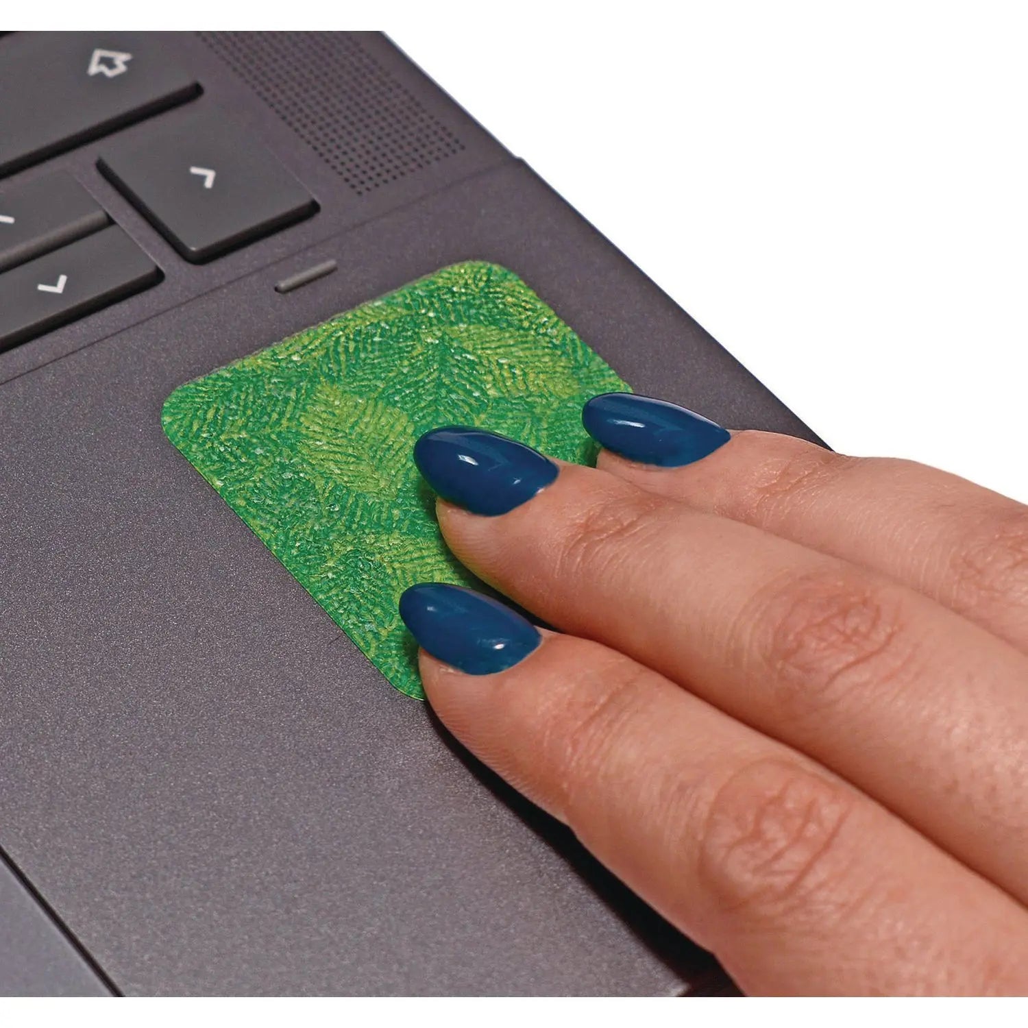 Anywhere Zen Strips, Sandy Palm Leaves, Assorted Colors, 13/Set, 24 Sets/Carton TPG Creations™ Flipcost