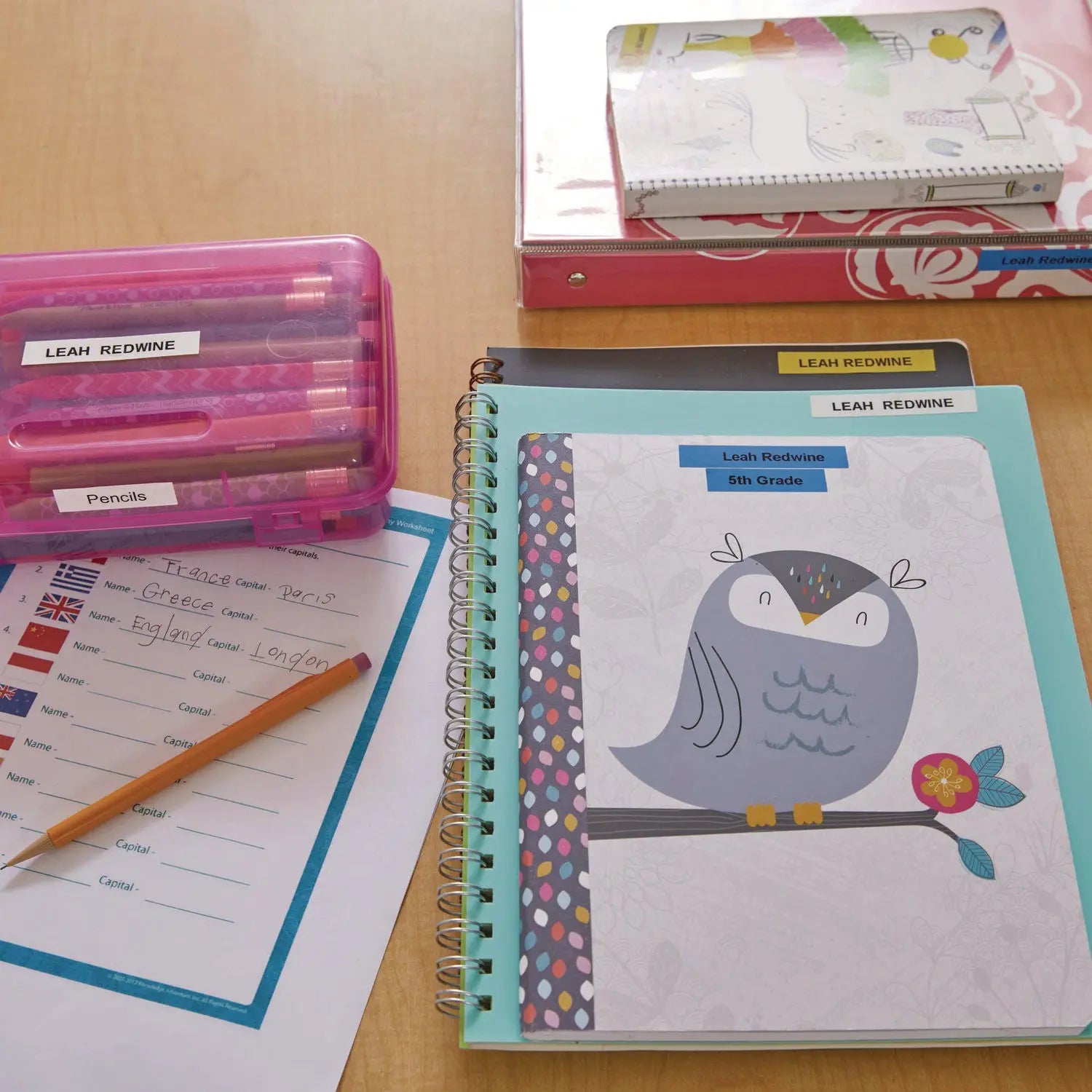 LetraTag 100H Label Maker, 2 Lines, 4.72 x 10.43 x 3.31 DYMO® Flipcost