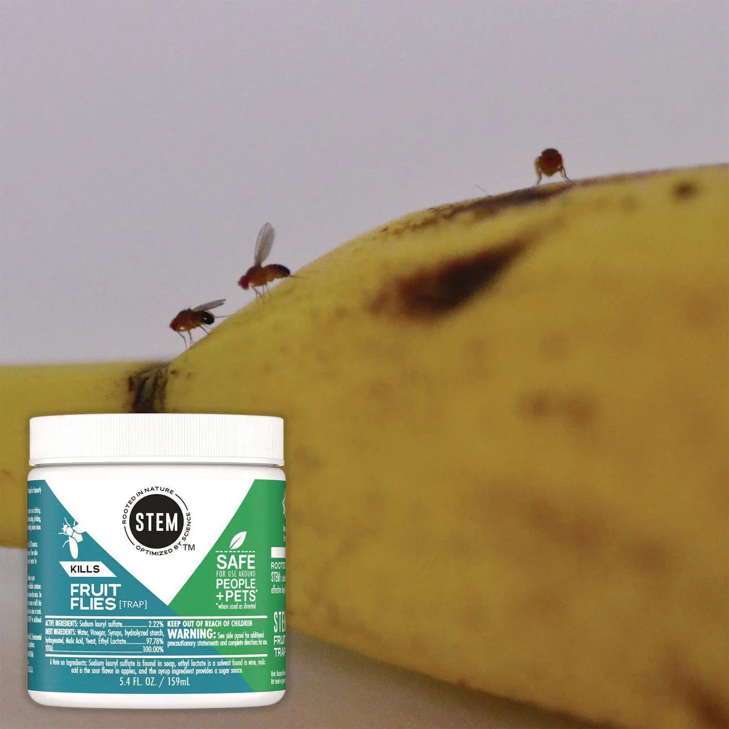 STEM Fruit Flies Trap, 5.4 oz Jar, 8/Carton SC Johnson® Flipcost