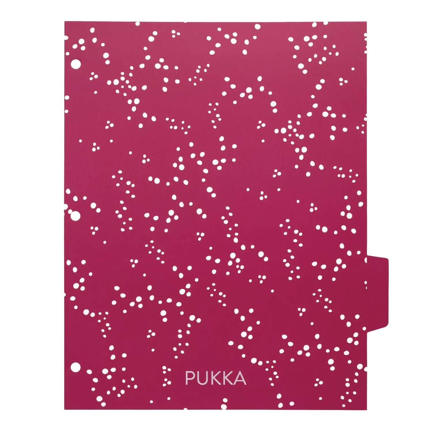 Letter Size Reversible Dividers, 5-Tab, 11 x 8.5, Assorted Colors, 1 Set PUKKA PAD® Flipcost