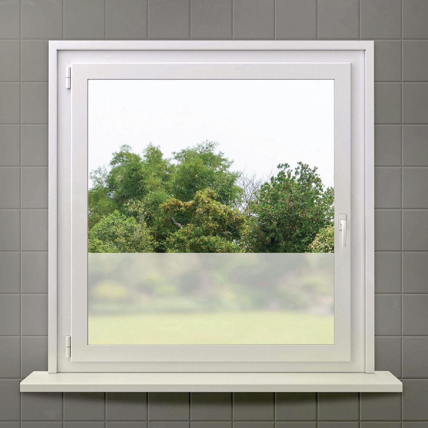 Rust-Oleum® Specialty Frosted Glass Spray Paint, Matte Clear, 11 oz Aerosol Can, 6/Carton