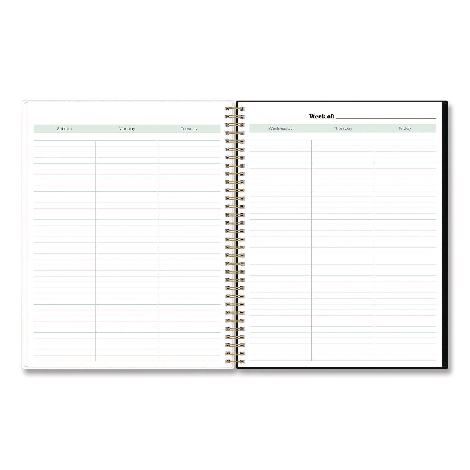 Blue Sky® Dark Gray Gale Lesson Planner, Weekly: Up to Nine Periods per Day, Monthly: Two-Page Spreads, 11 x 8.5, Gray/Mint Green Cover