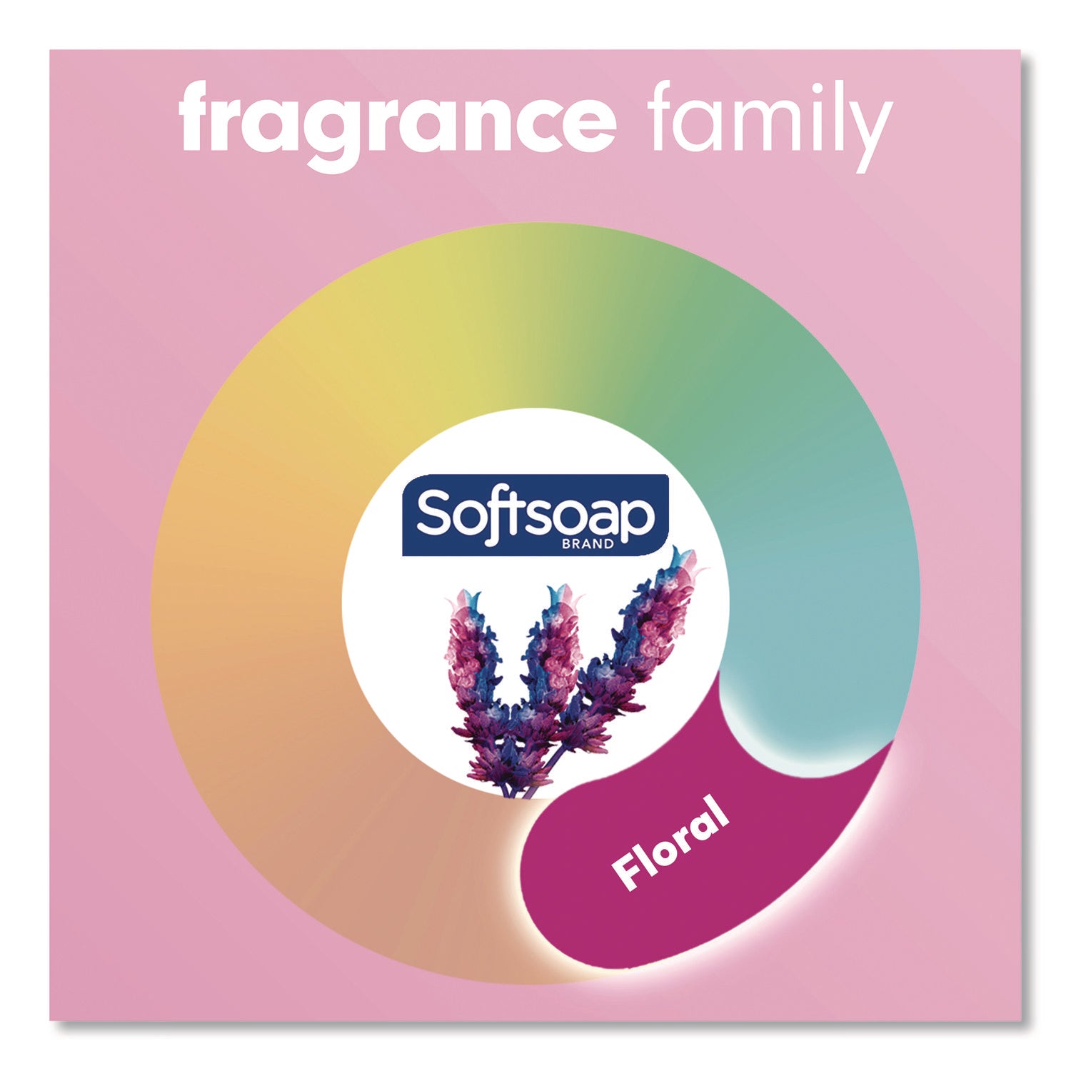 Softsoap® Liquid Hand Soap Pumps, Coconut and Hibiscus, 11.25 oz