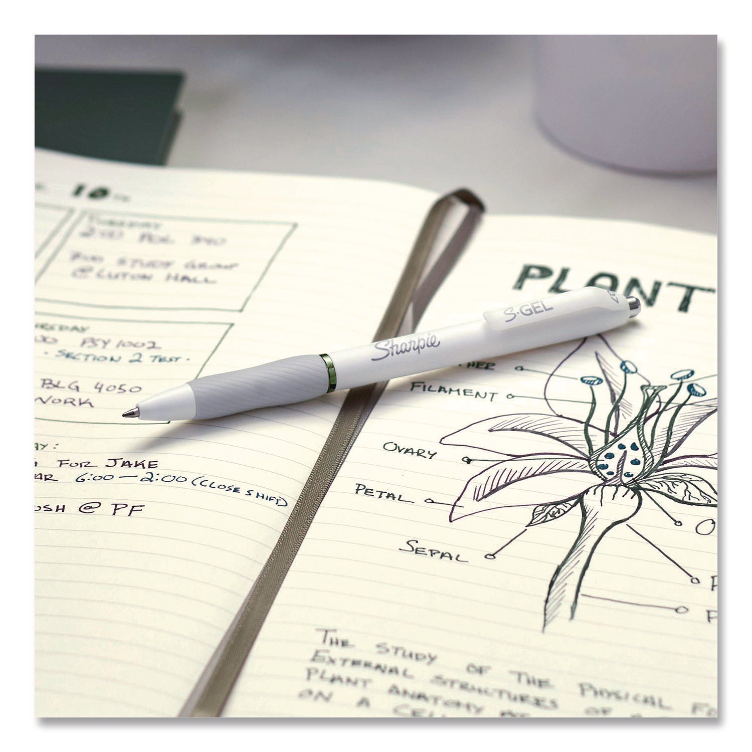 Sharpie® S-Gel™ S-Gel Fashion Barrel Gel Pen, Retractable, Medium 0.7 mm, Assorted Ink, White Barrel, 8/Pack