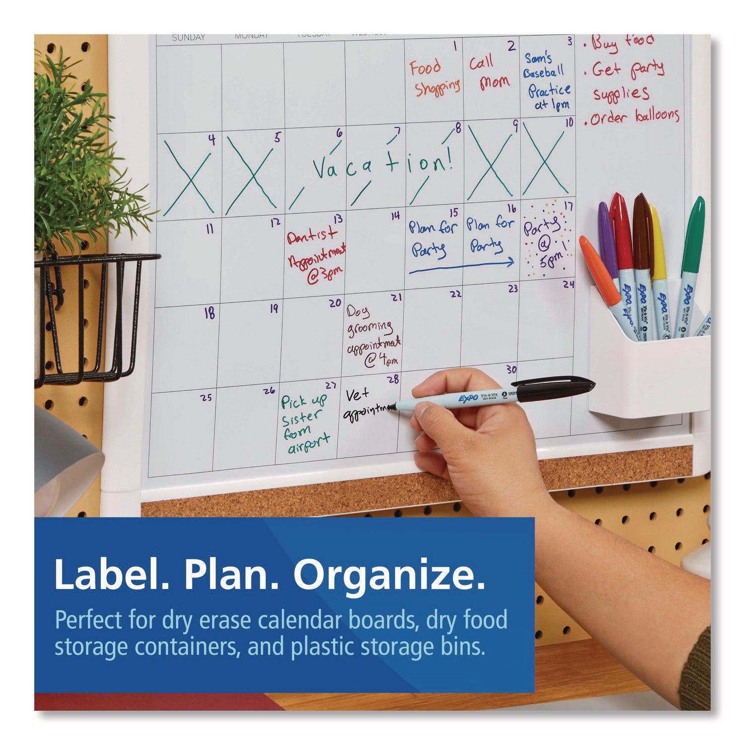 EXPO® Vis-à-Vis Wet Erase Marker, Fine Bullet Tip, Assorted Colors, 8/Pack