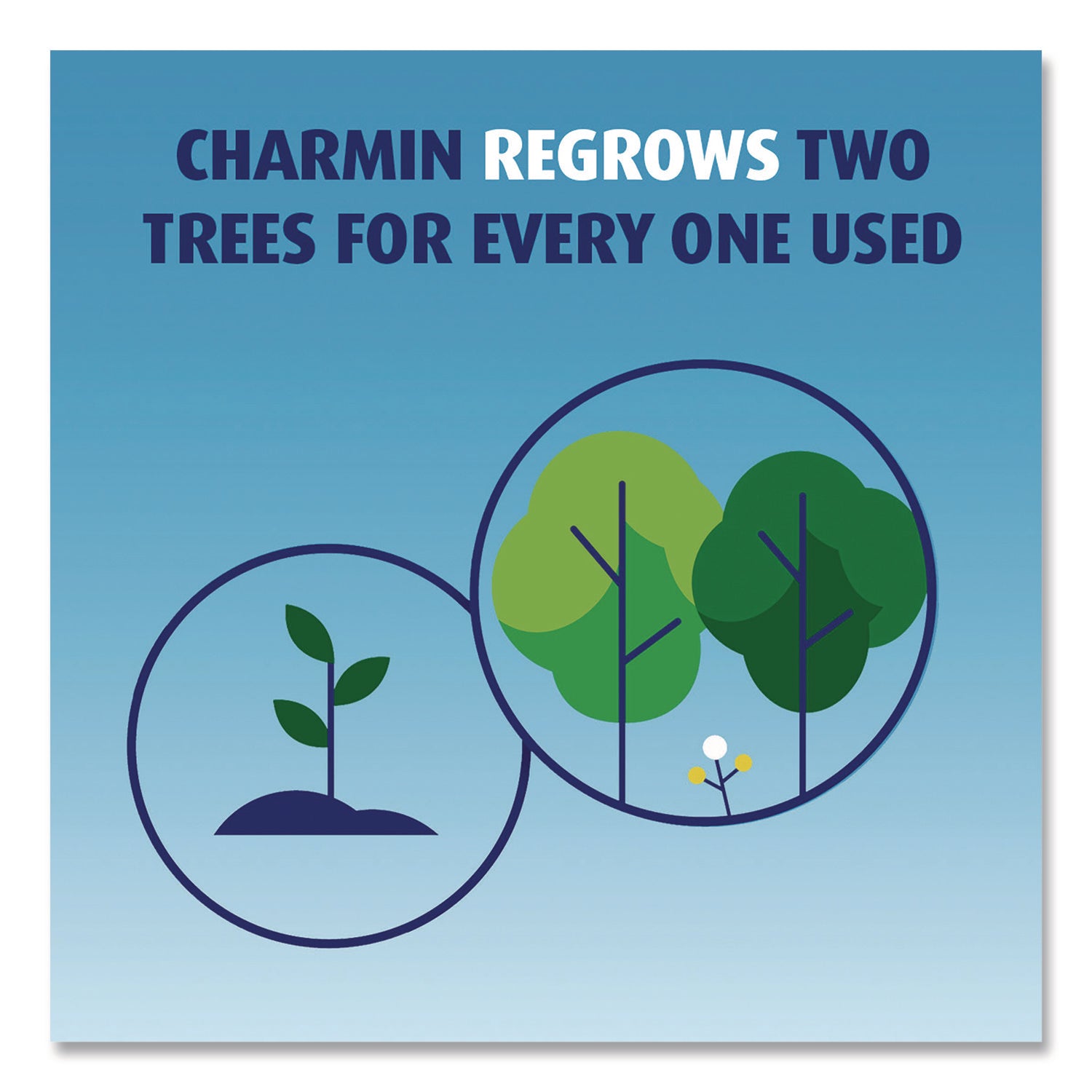 Charmin® Essentials Soft Bathroom Tissue, Septic Safe, 2-Ply, White, 330 Sheets/Roll, 9 Rolls/Pack, 4 Packs/Carton