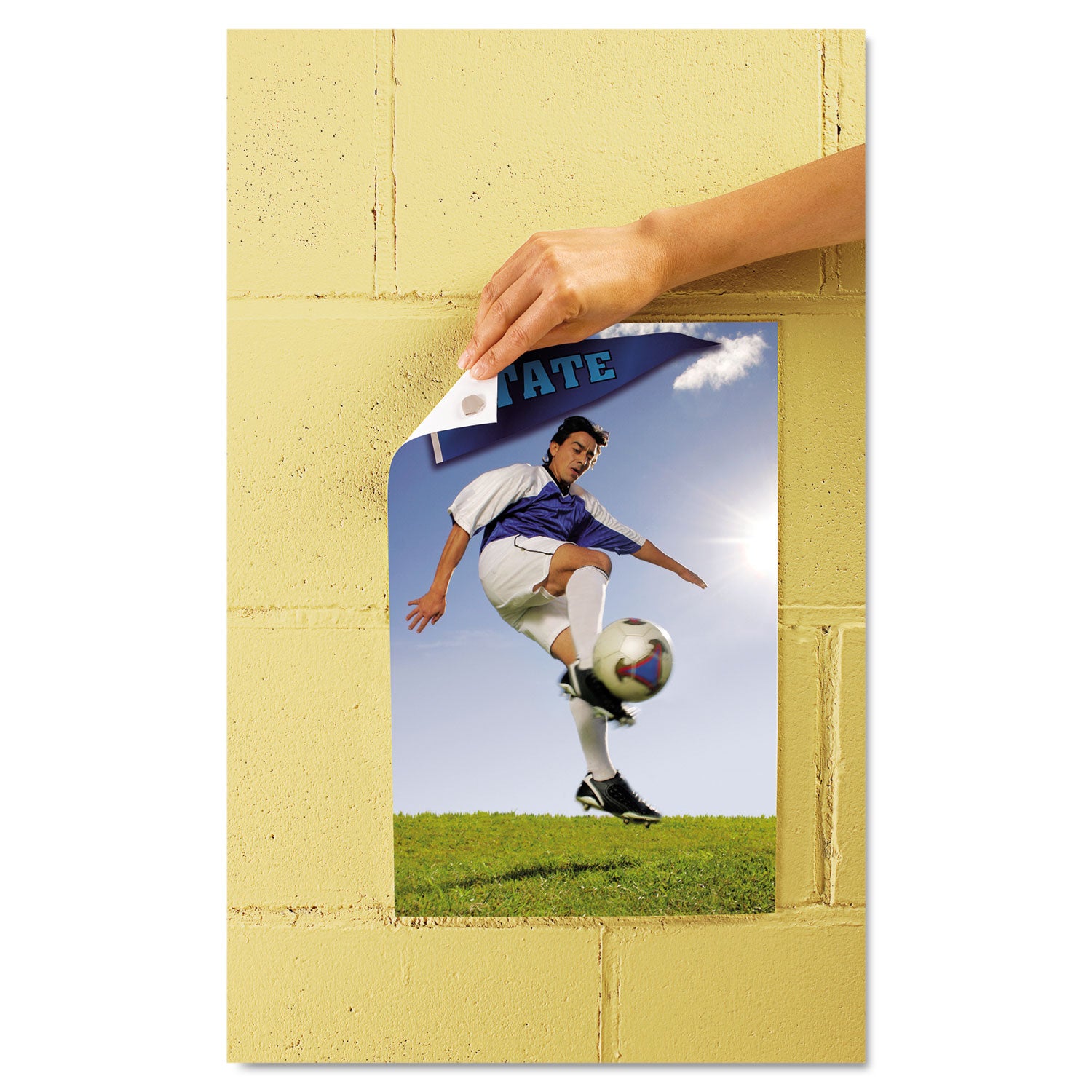 Scotch® Adhesive Putty, Removable, 2 Oz