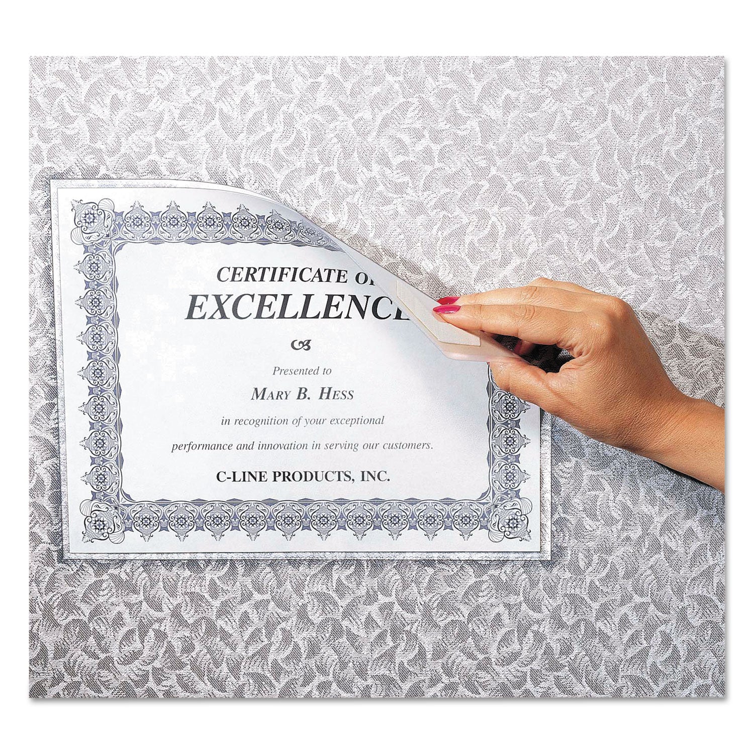 Cubicle Keepers Hook and Loop-Backed Display, 9.2 x 11.41, Velcro Mount, Clear, 25/Pack