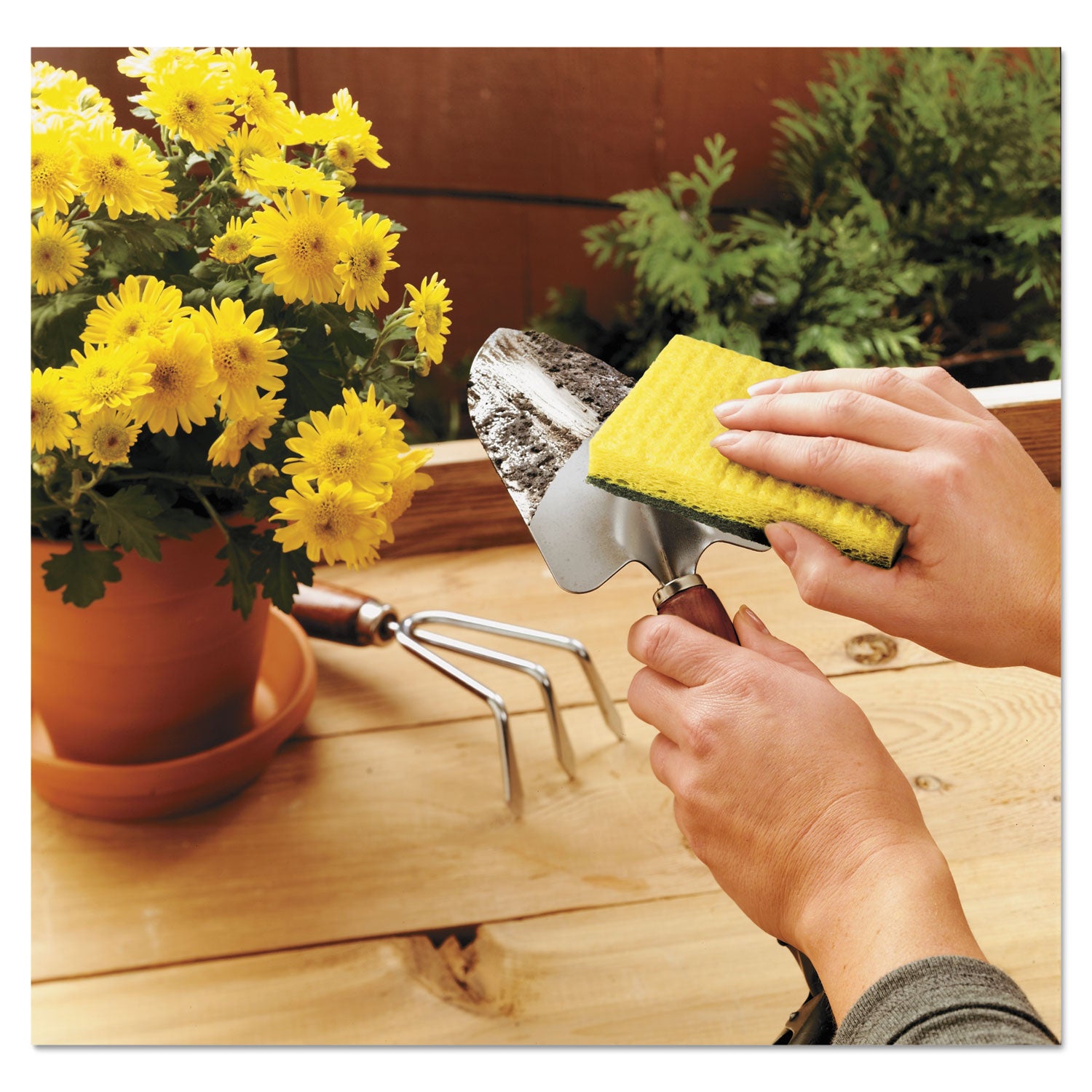 Scotch-Brite® Heavy-Duty Scrub Sponge, 4.5 X 2.7, 0.6" Thick, Yellow/green, 3/pack