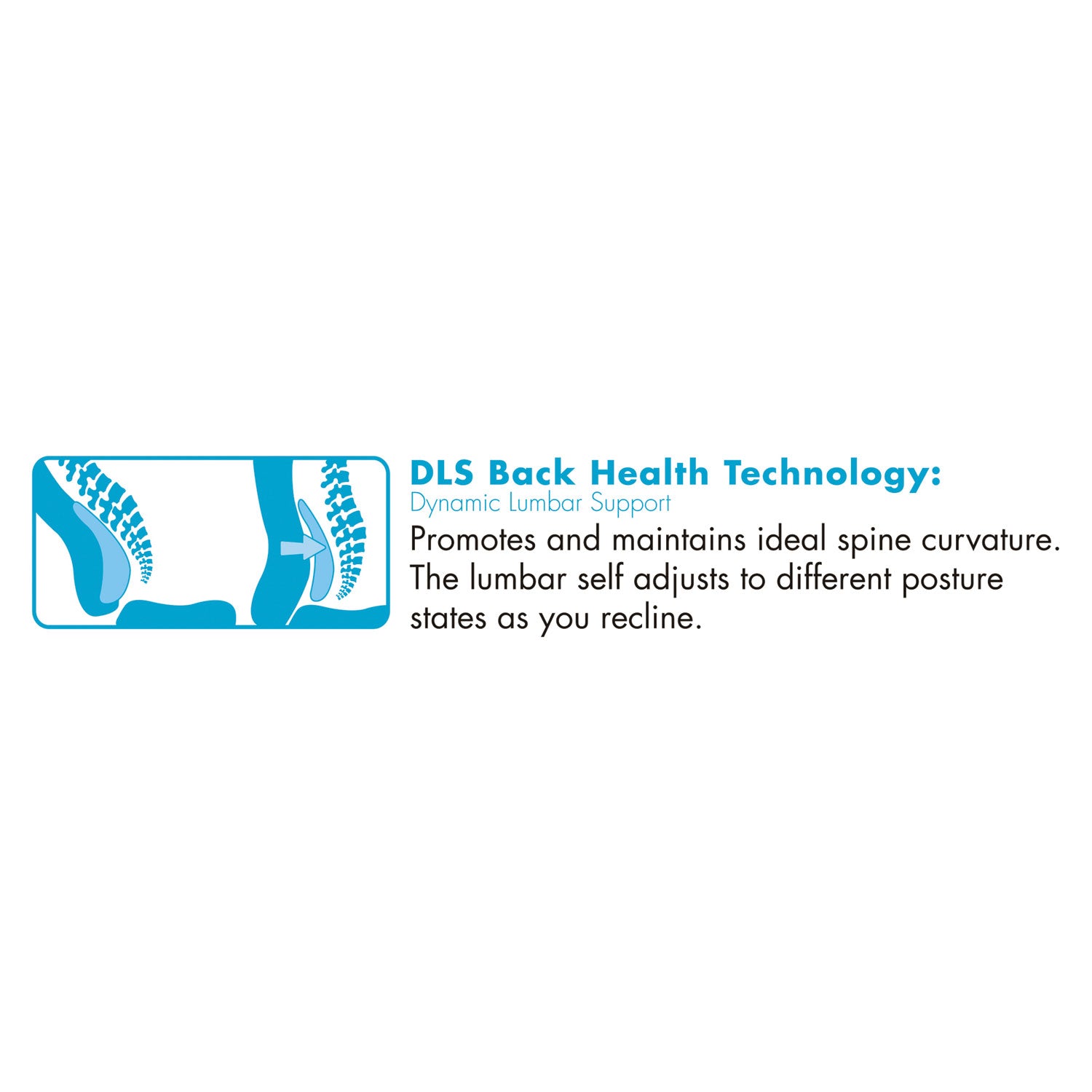 La-Z-Boy® Commercial 2000 High-Back Executive Chair, Dynamic Lumbar Support, Supports 300lb, 20" To 23" Seat Height, Black, Silver Base