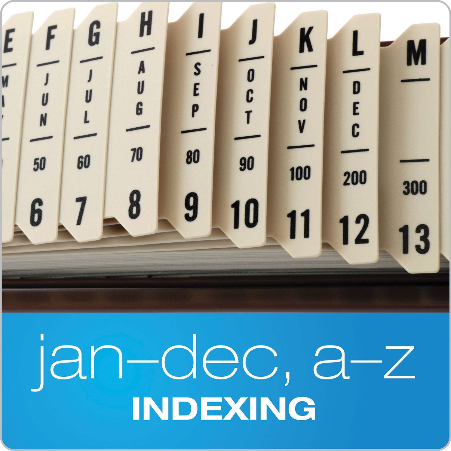 Pendaflex® General Purpose Indexed Sorter, 31 Dividers, Alpha/Numeric/Month/Date/Day Index, Letter Size, Brown Frame