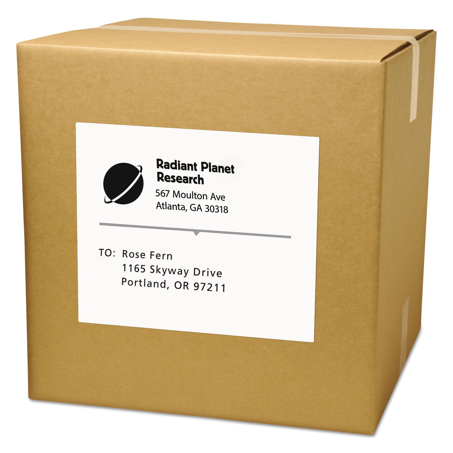 Avery® Copier Mailing Labels, Copiers, 8.5 X 11, White, 100/box