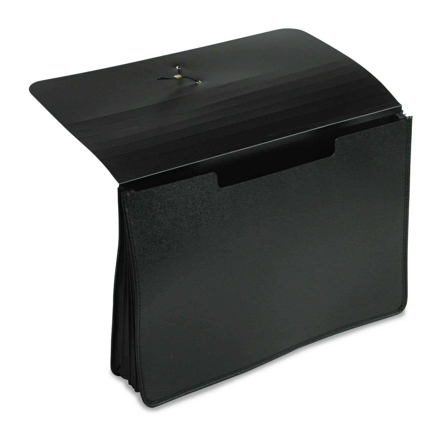 Pendaflex® Expanding Portfolio, 5.25" Expansion, 1 Section, Elastic Cord Closure, Legal Size, Black