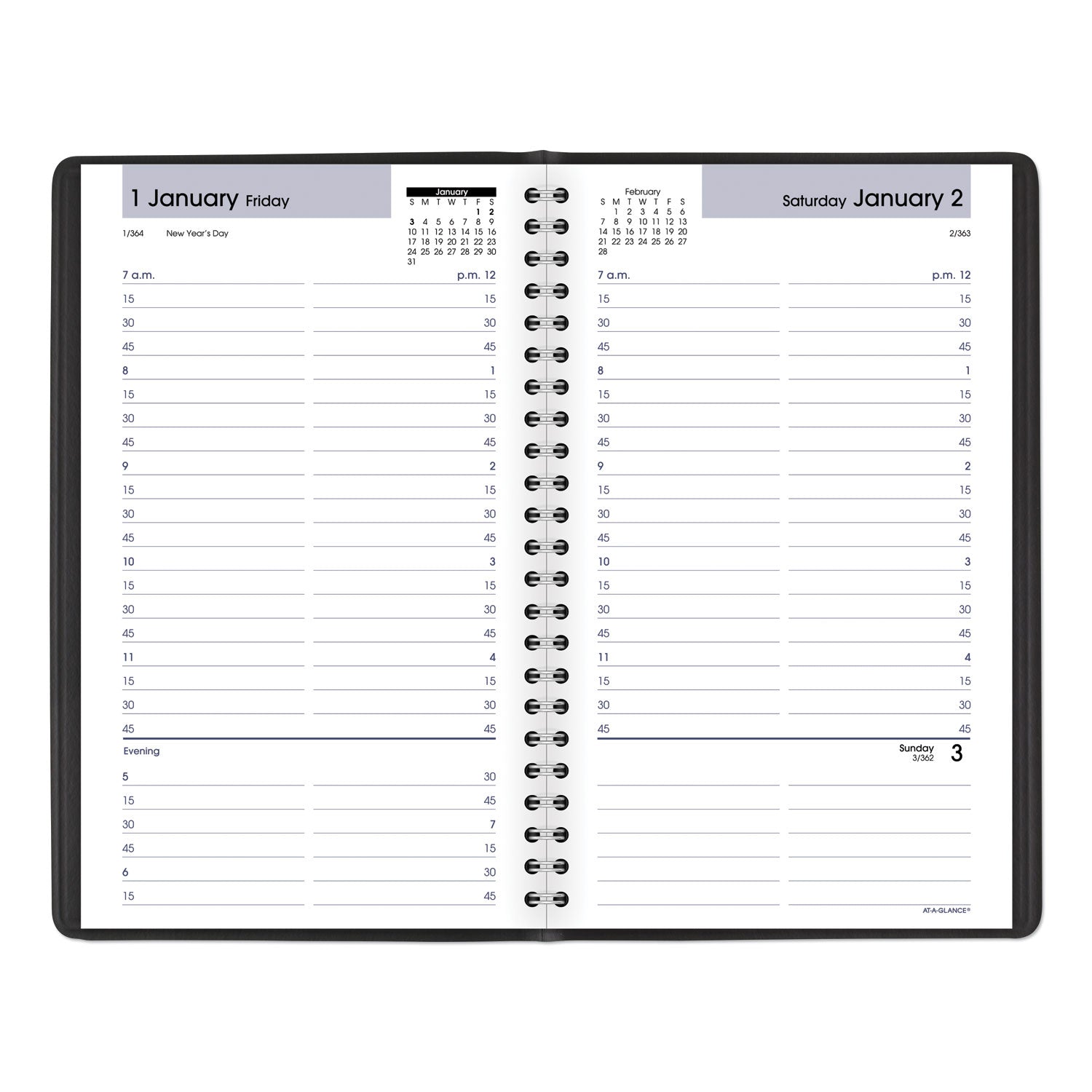 AT-A-GLANCE® DayMinder Daily Appointment Book, 8.5 x 5.5, Black Cover, 12-Month (Jan to Dec): 2025