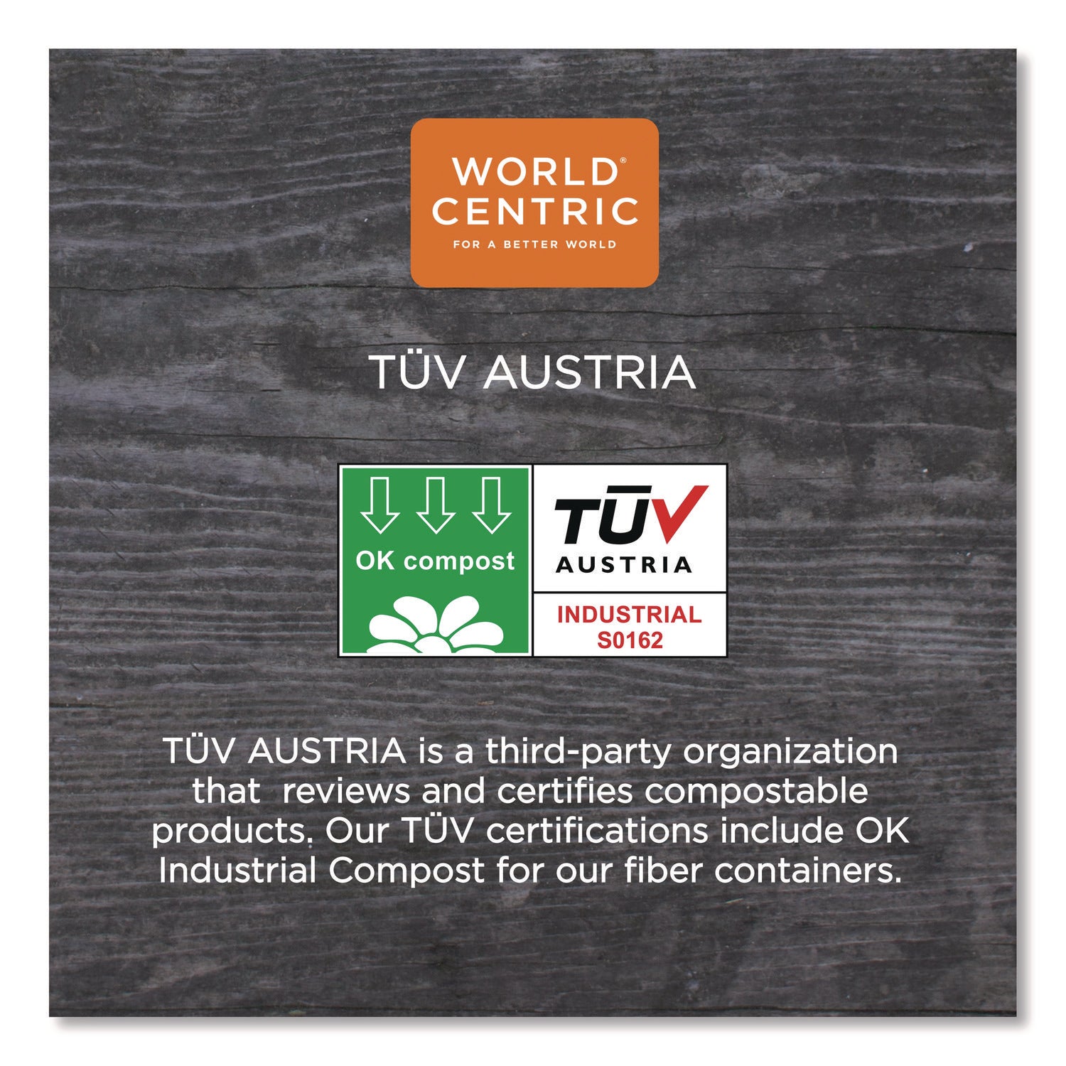 World Centric® Fiber Trays, PLA Lined, PFAS Free, 8.3 x 4.9 x 0.7, Natural, Paper, 500/Carton