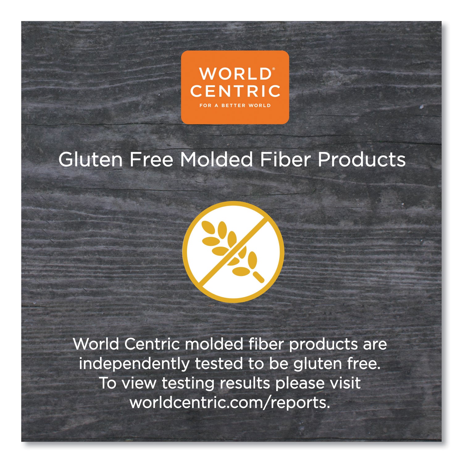 World Centric® Fiber Trays, PLA Lined, PFAS Free, 18 x 14 x 1, Natural, Paper, 100/Carton