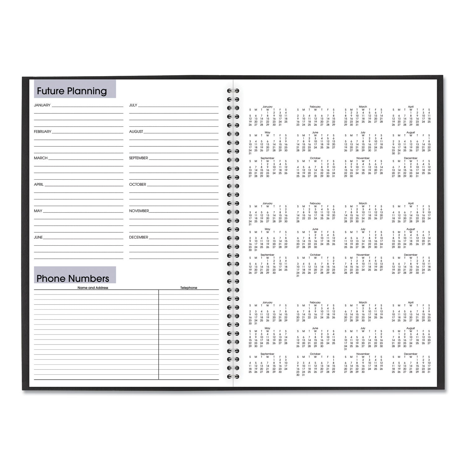 AT-A-GLANCE® DayMinder Monthly Planner, Ruled Blocks, 12 x 8, Black Cover, 14-Month: Dec 2024 to Jan 2026