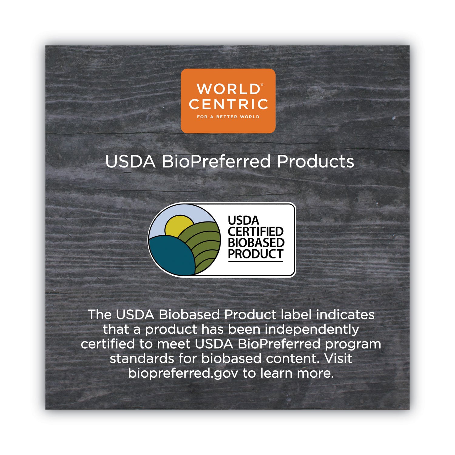 World Centric® TPLA Compostable Cutlery, Spoon, Plastic, White, 750/Carton