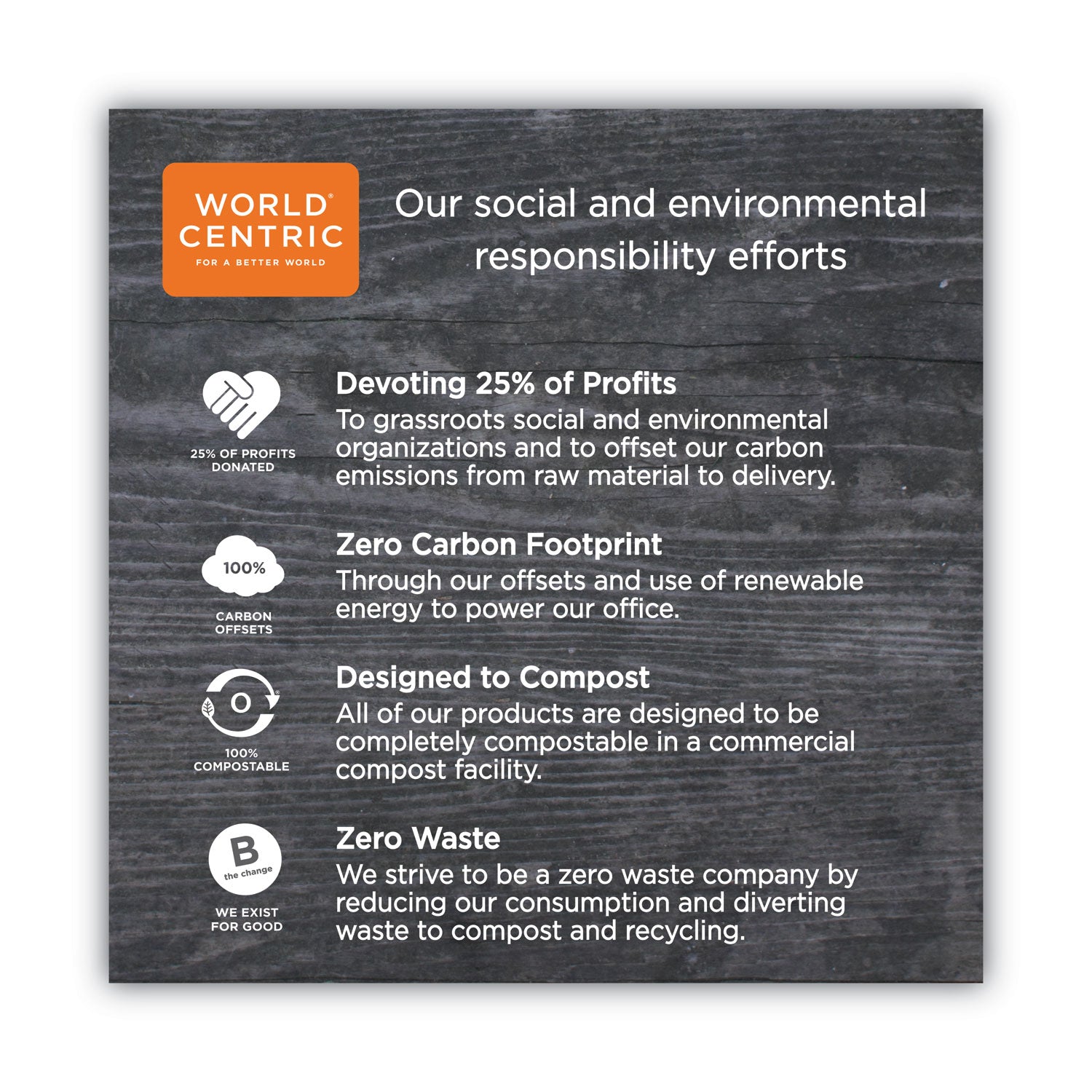 World Centric® TPLA Compostable Cutlery, Spoon, Plastic, White, 750/Carton