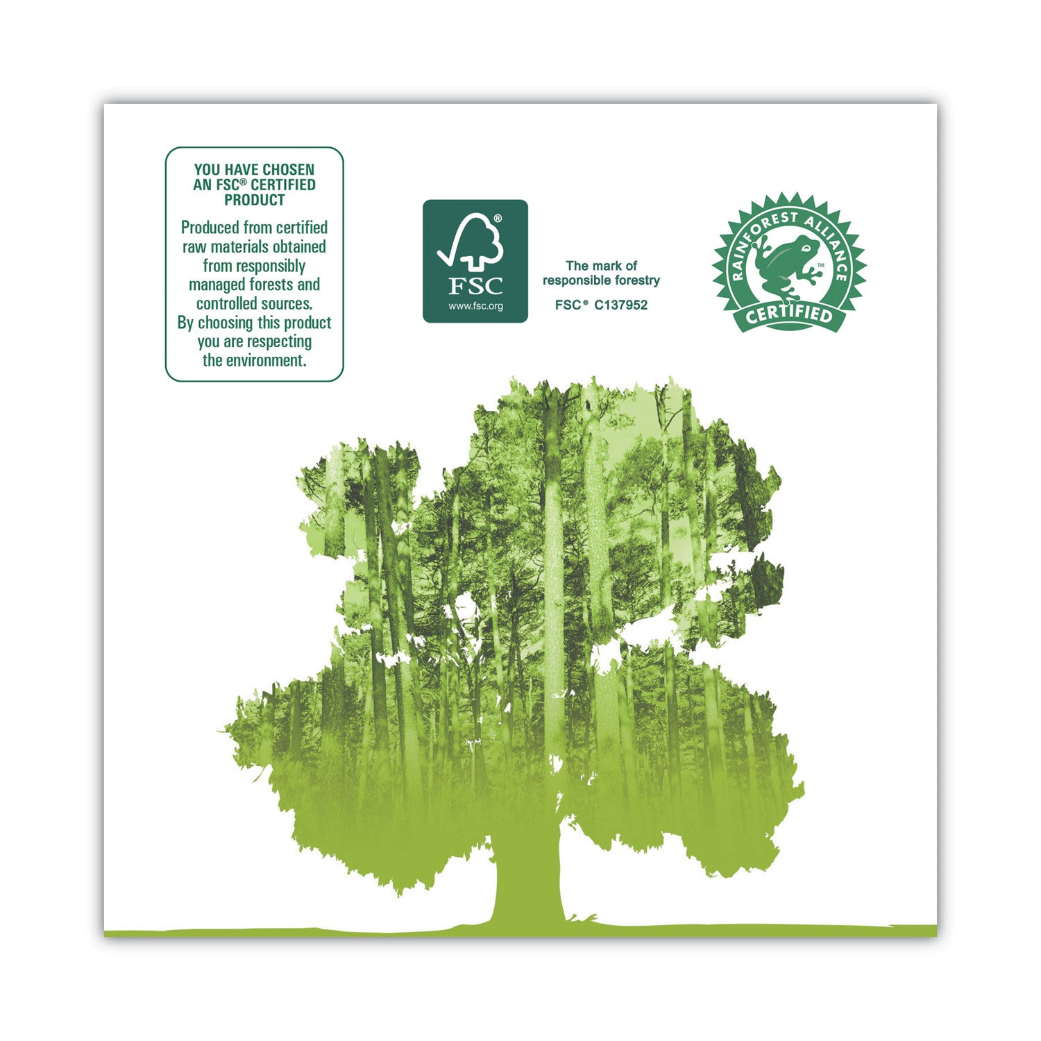 Windsoft® Premium Kitchen Roll Towels, 2-Ply, 11 x 6, White, 110/Roll, 12 Rolls/Carton