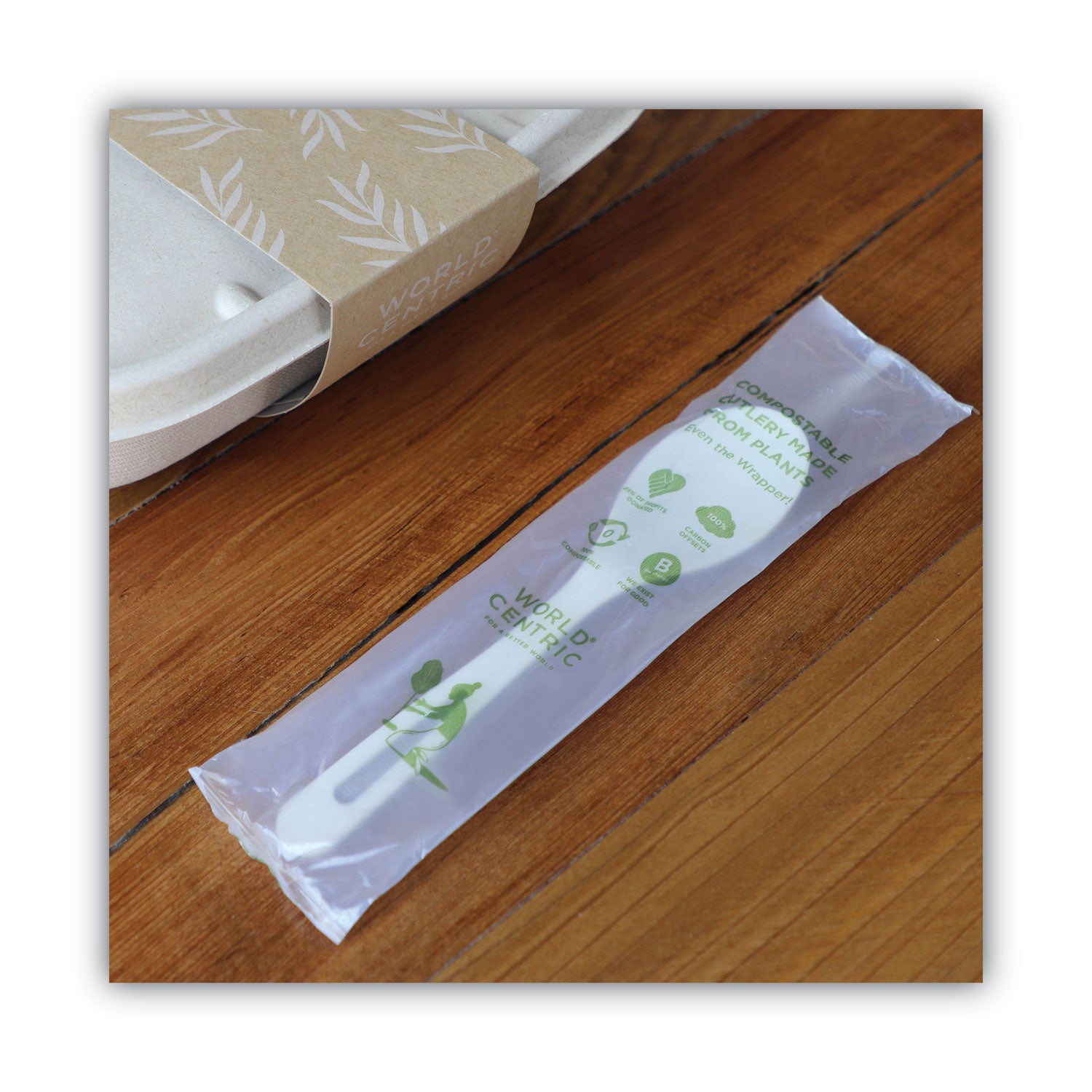 World Centric® TPLA Compostable Cutlery, Spoon, Plastic, White, 750/Carton