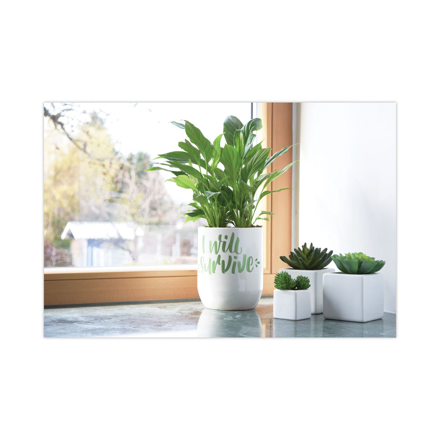 POSCA™ Water-Based Paint Markers, Medium Bullet Tip, Assorted Colors, 16/Pack