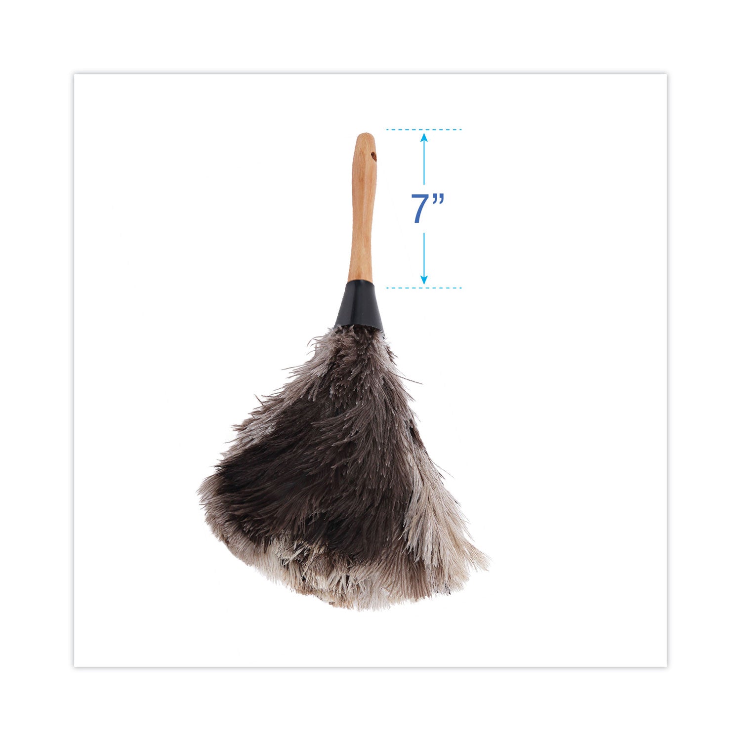 Boardwalk® Professional Ostrich Feather Duster, 7" Wood Handle