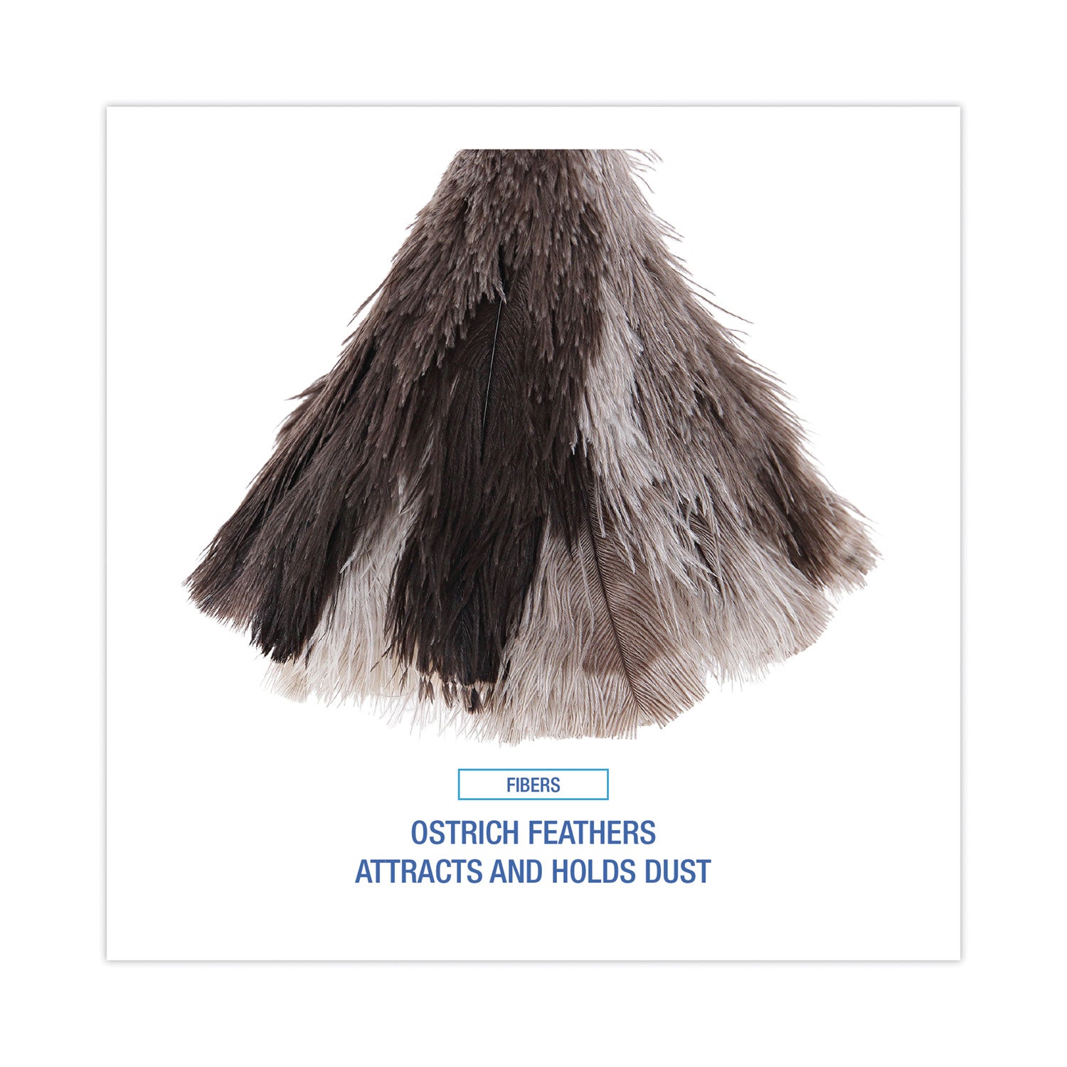 Boardwalk® Professional Ostrich Feather Duster, 7" Wood Handle