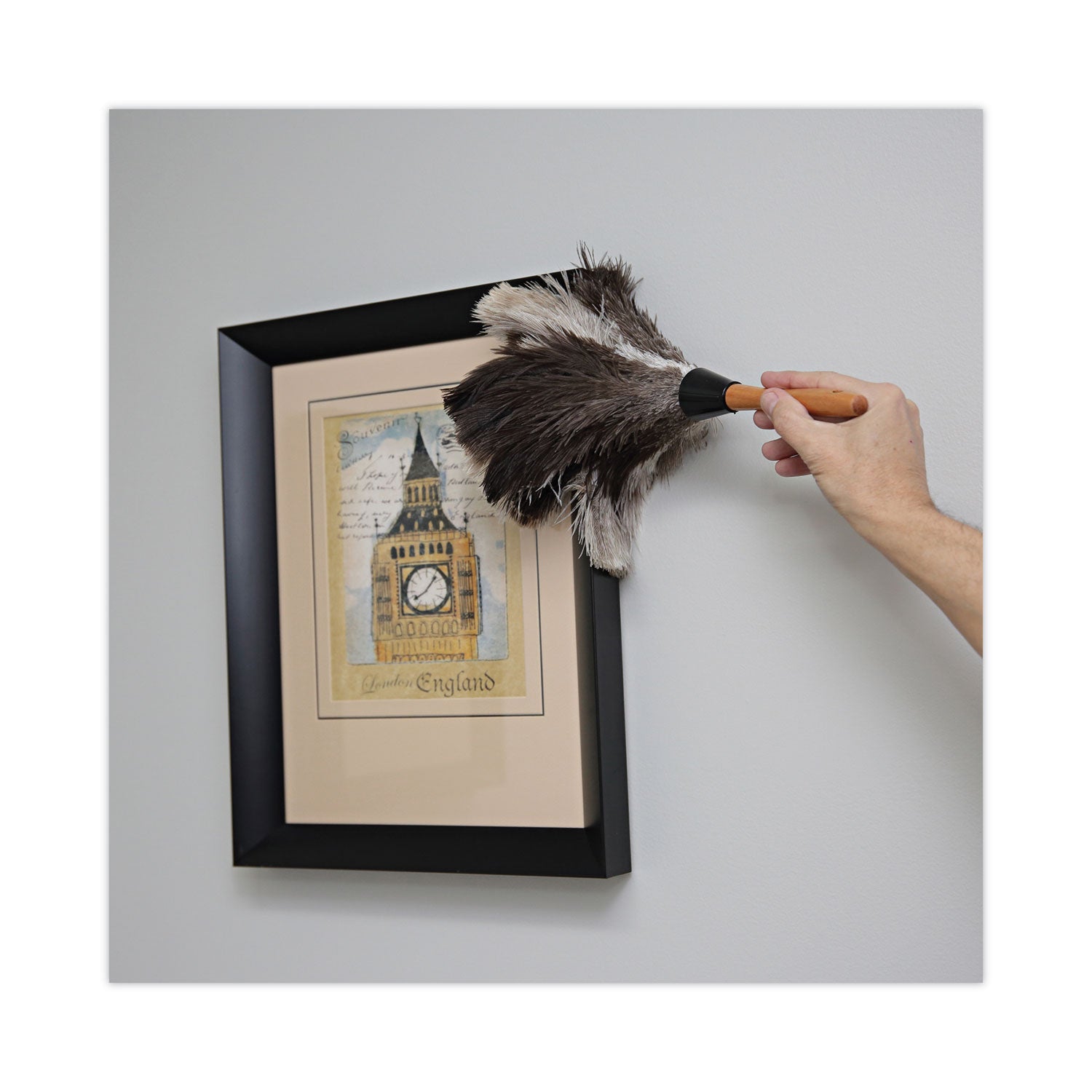 Boardwalk® Professional Ostrich Feather Duster, 7" Wood Handle