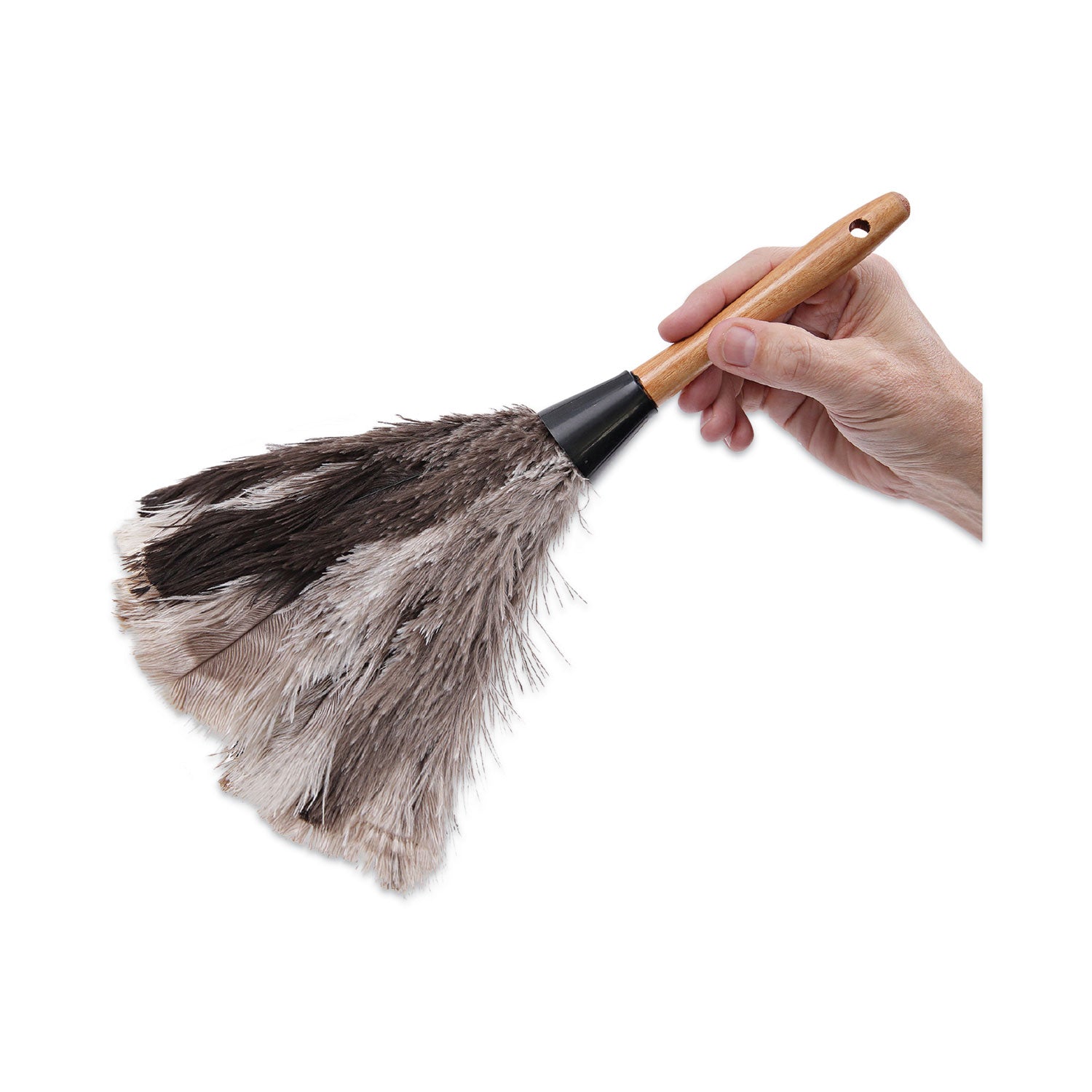 Boardwalk® Professional Ostrich Feather Duster, 7" Wood Handle