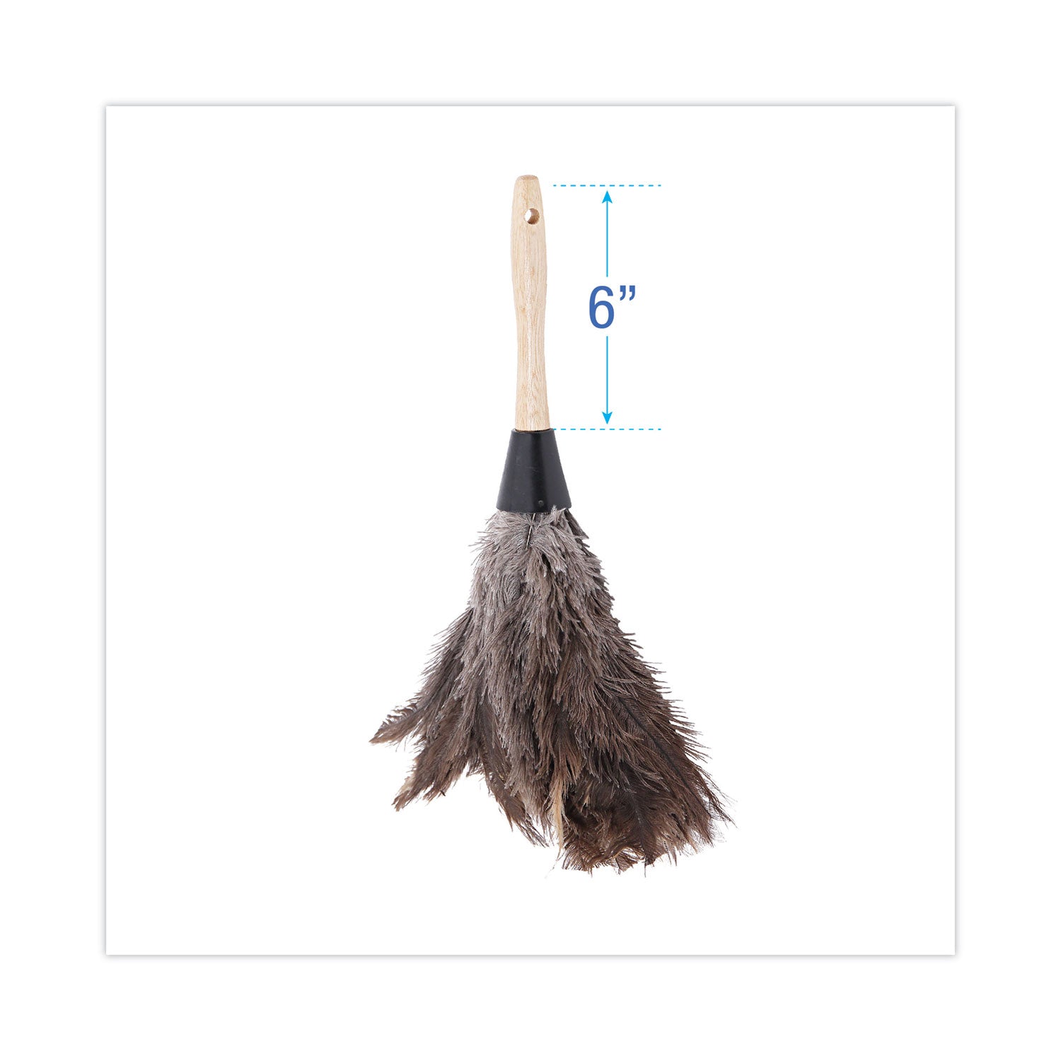 Boardwalk® Professional Ostrich Feather Duster, 6" Wood Handle